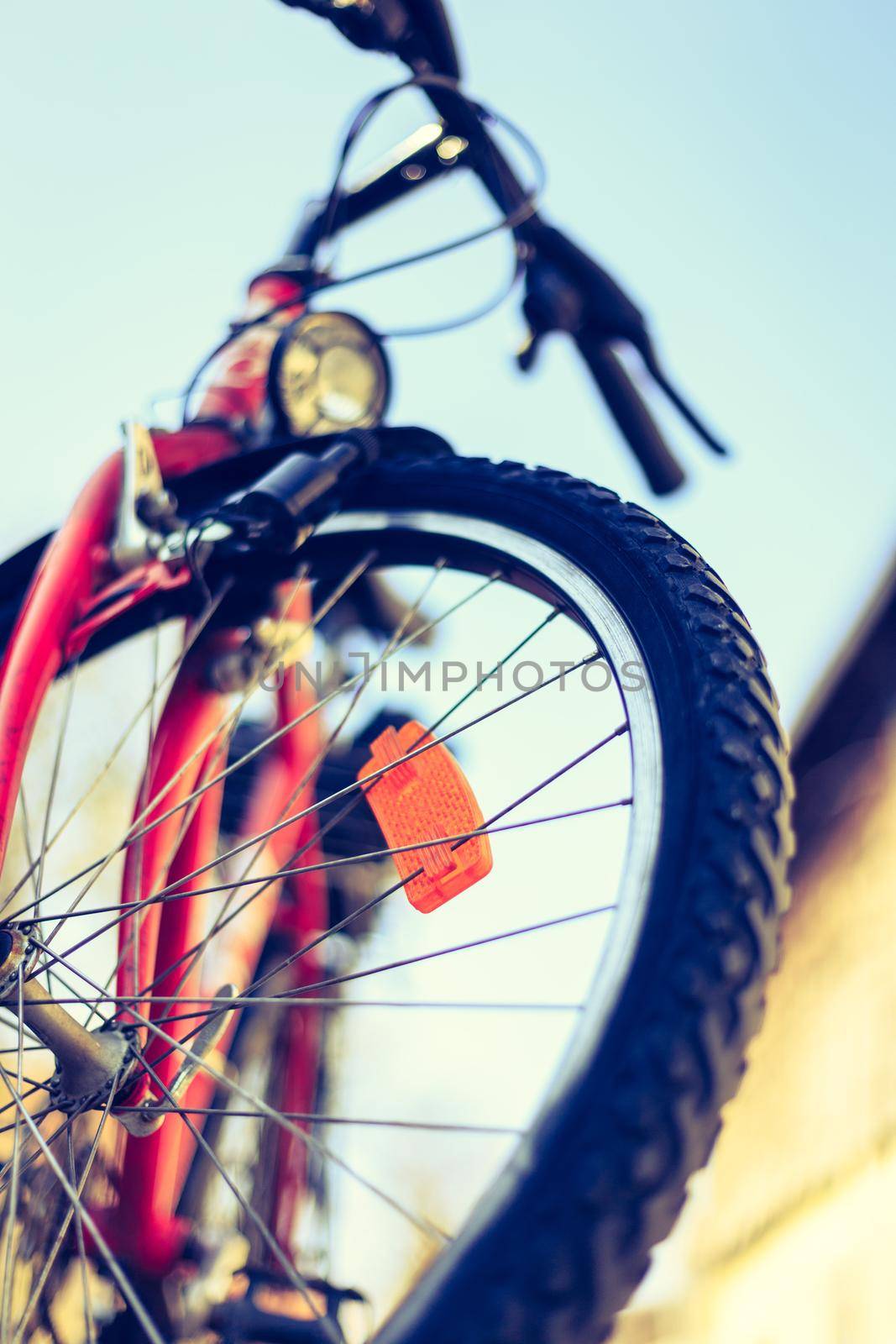 Close up picture of a mountain bike tyre, summer day. Bike in the blurry background.