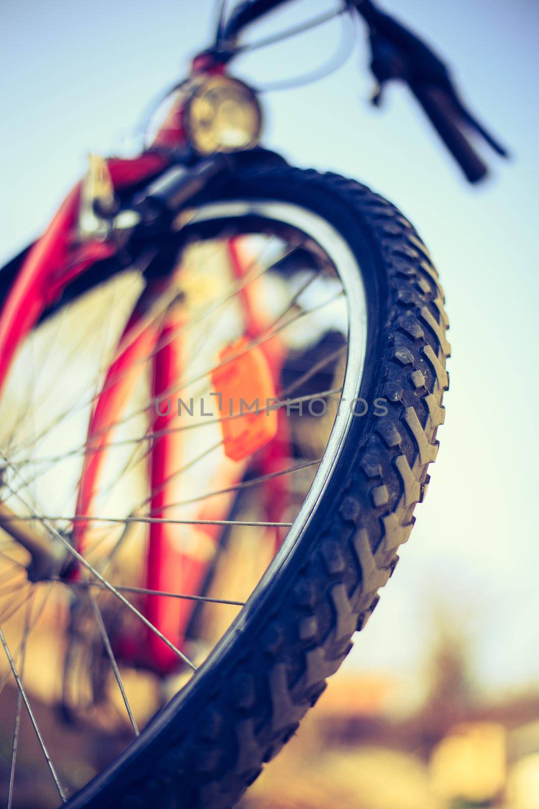Close up picture of a mountain bike tyre, summer day. Bike in the blurry background.