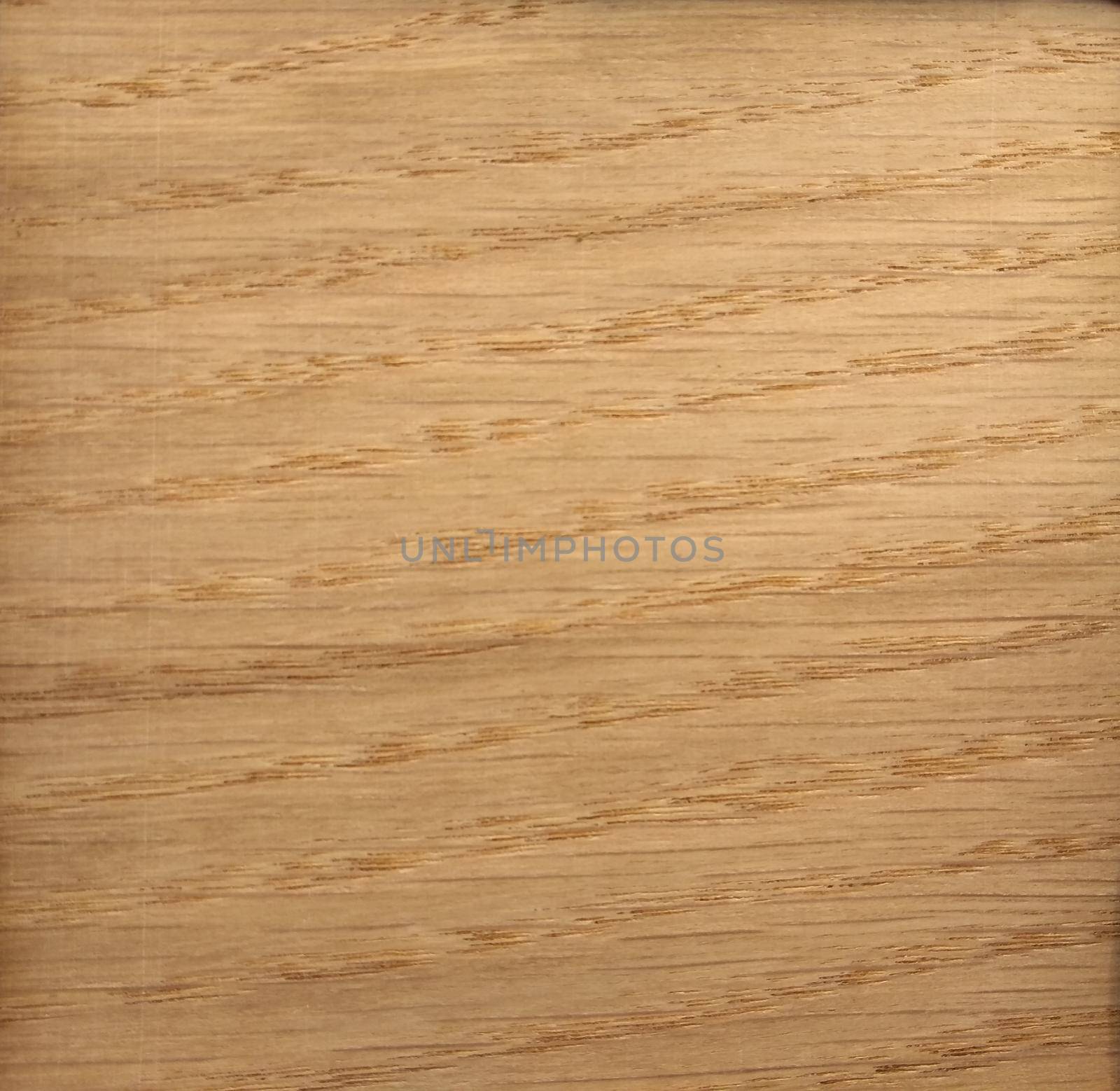 Natural American white oak crown cut wood texture background. American white oak crown cut veneer surface for interior and exterior manufacturers use.