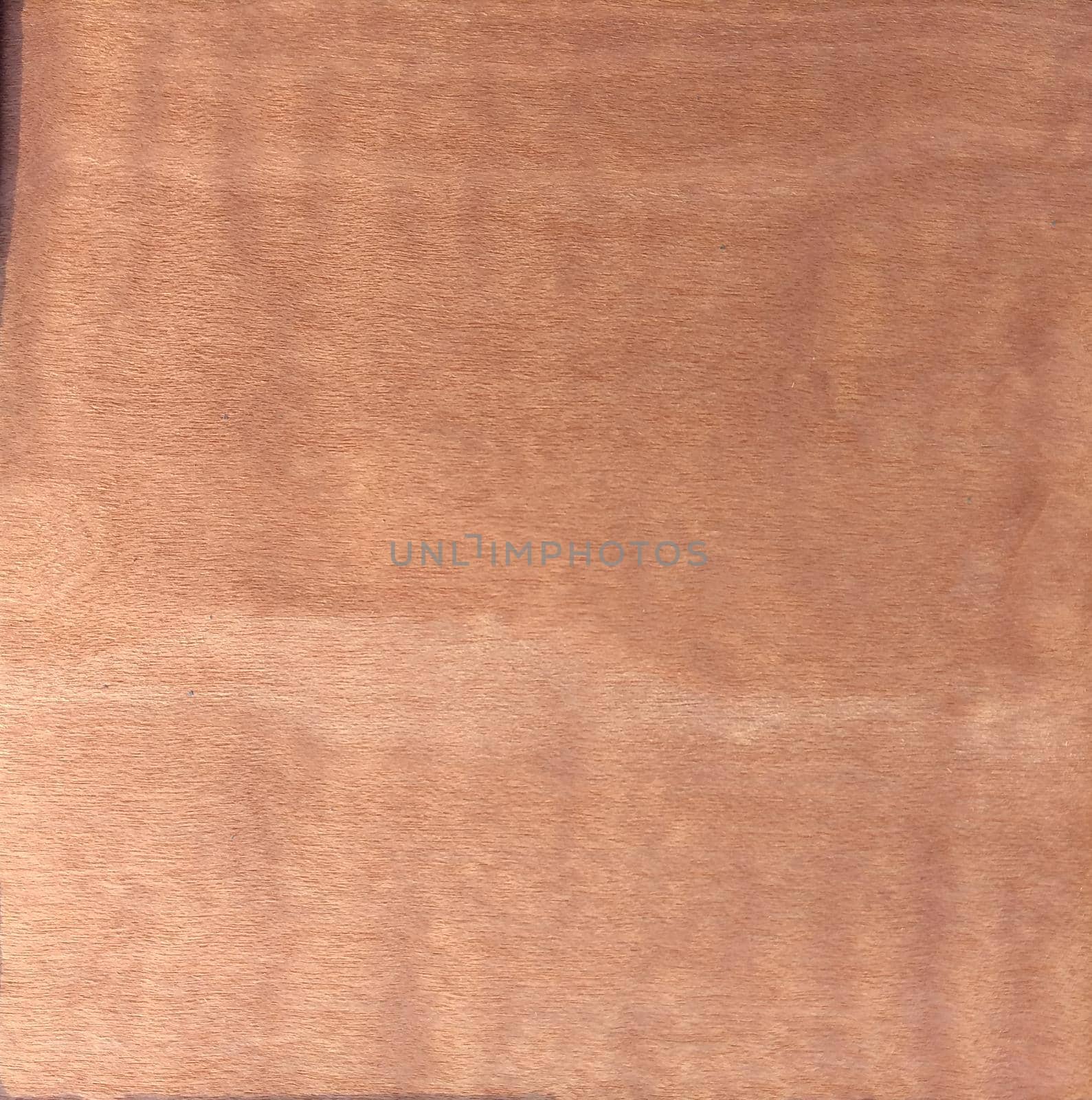 Natural Dyed sycamore burgundy wood texture background. Dyed sycamore burgundy veneer surface for interior and exterior manufacturers use.