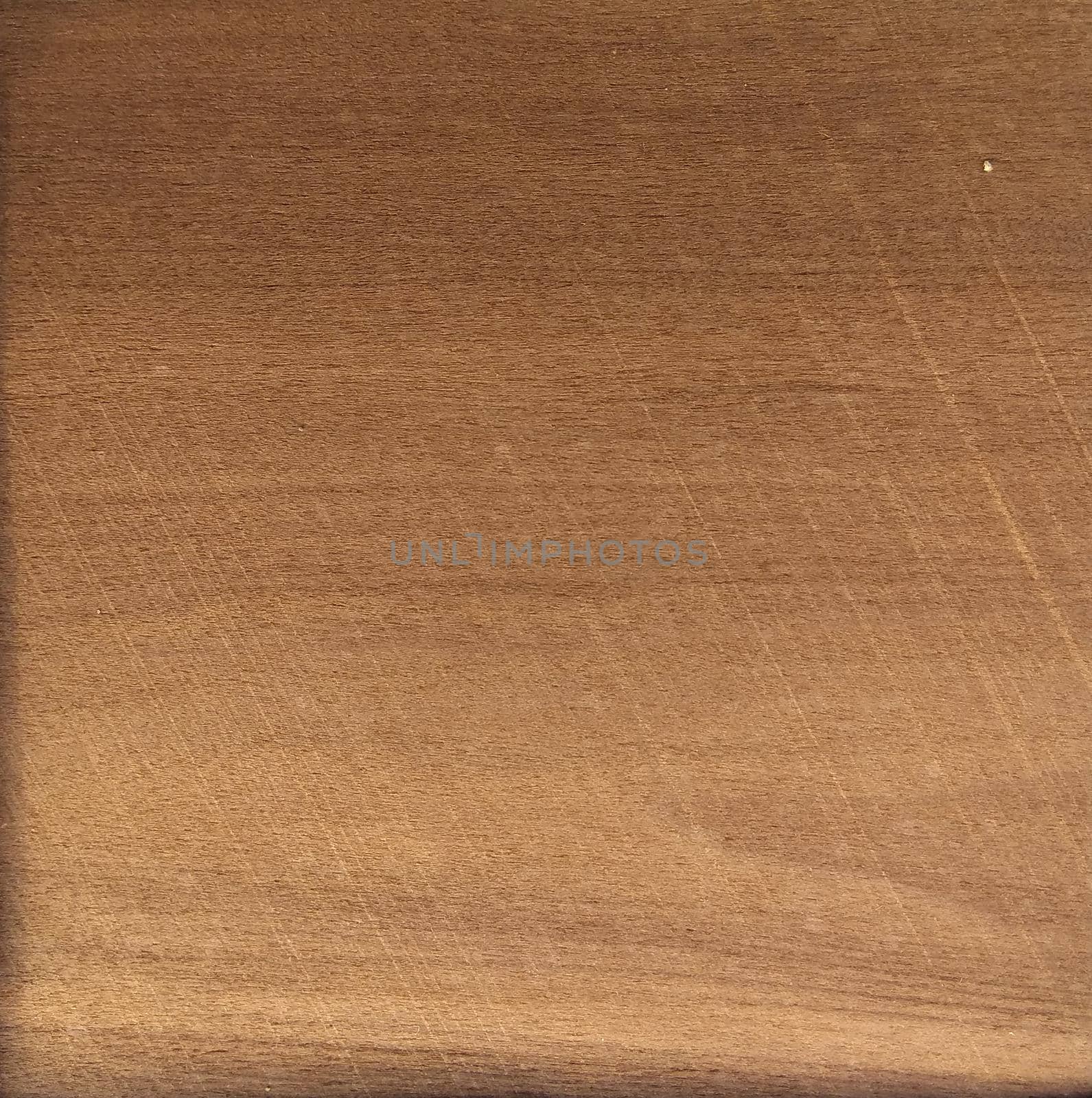 Natural Satin walnut crown cut wood texture background. Satin walnut crown cut veneer surface for interior and exterior manufacturers use.