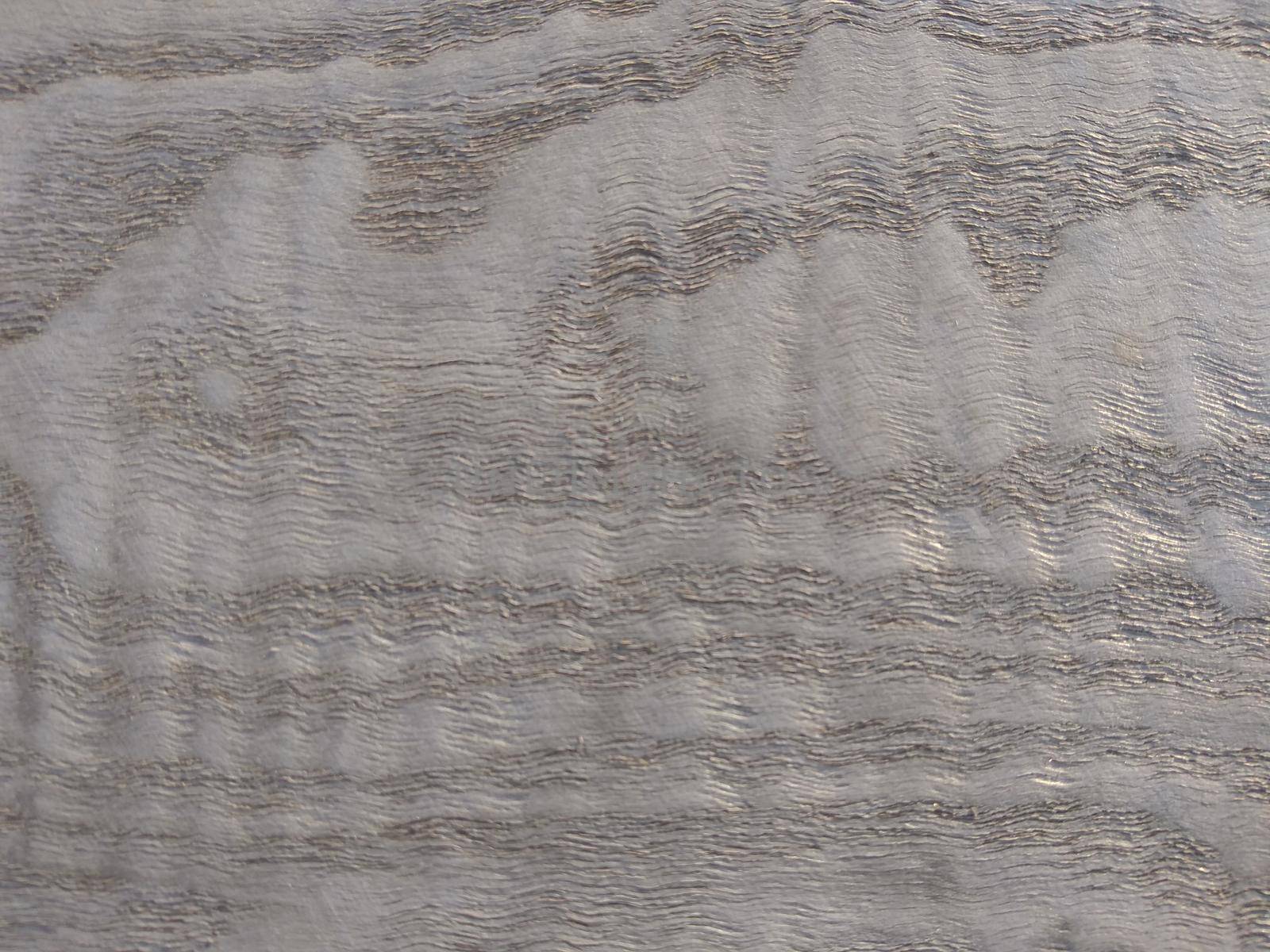 Natural Silver splash fresno wood texture background. Silver splash fresno veneer surface for interior and exterior manufacturers use.