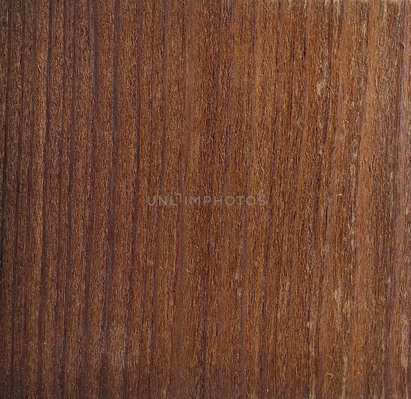 Natural Smoked larch (dark) wood texture background. Smoked larch (dark) veneer surface for interior and exterior manufacturers use.