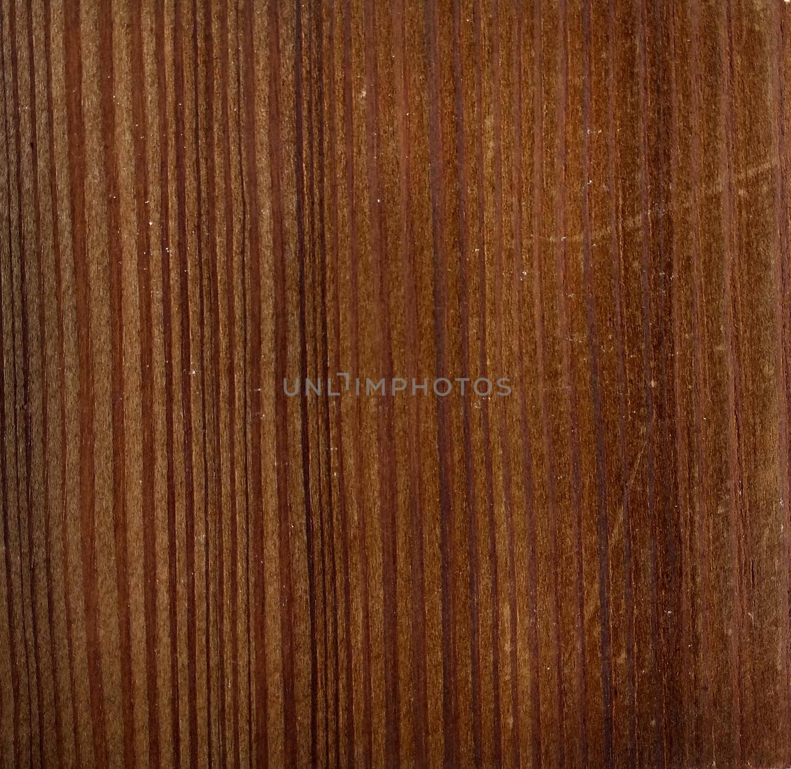 Natural Smoked larch (light) wood texture background. Smoked larch (light) veneer surface for interior and exterior manufacturers use.