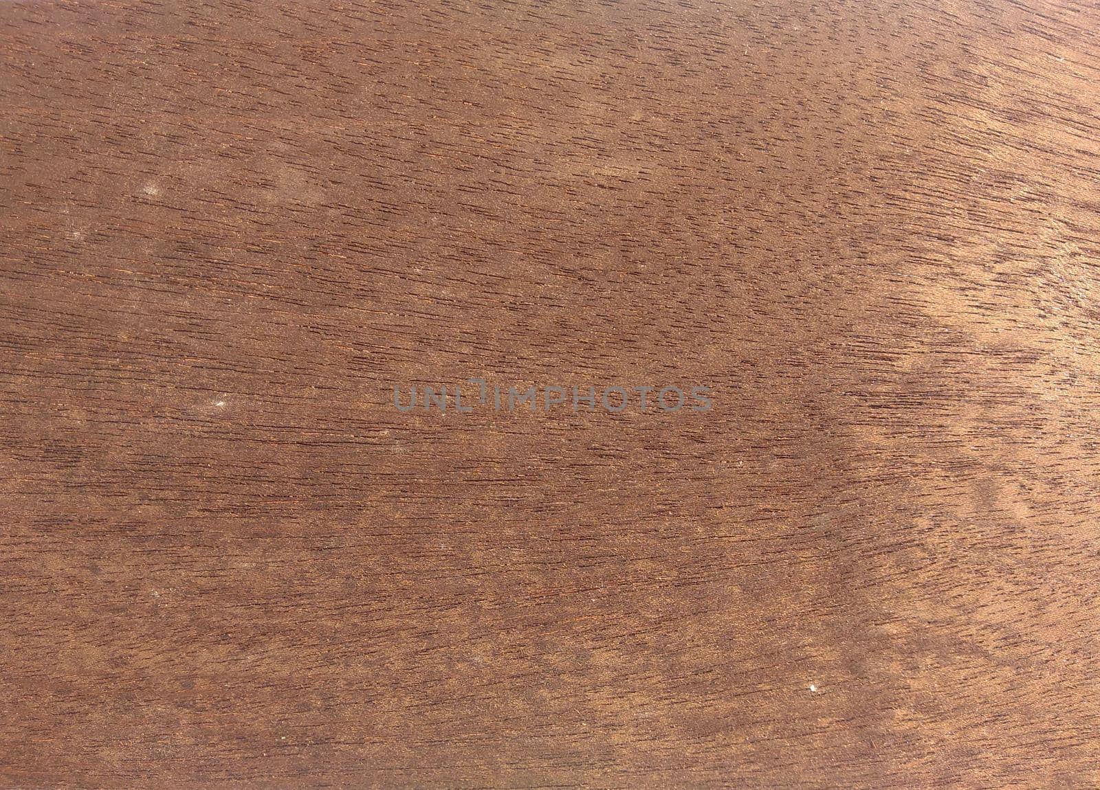 Natural Smoked sapele crown wood texture background. Smoked sapele crown veneer surface for interior and exterior manufacturers use.
