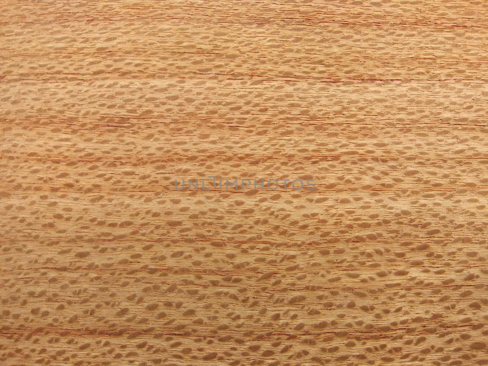 Natural Southern oak quarter cut wood texture background. Southern oak quarter cut veneer surface for interior and exterior manufacturers use.