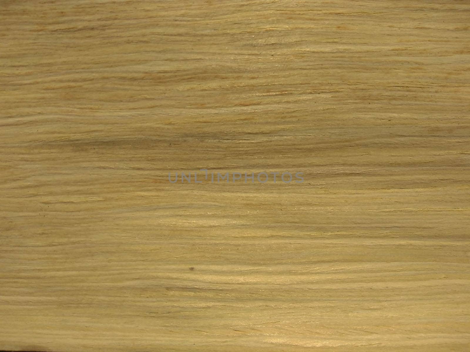 european white ash quarter wood texture background. veneer surface for interior and exterior manufacturers use.
