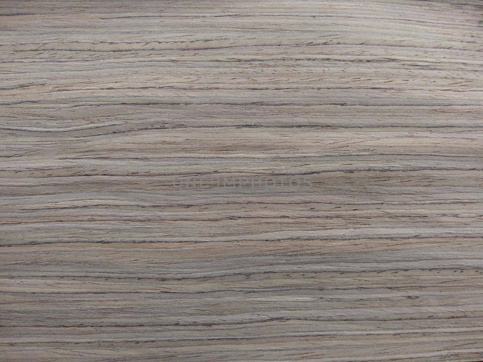 Natural gray american walnut wood texture background. veneer surface for interior and exterior manufacturers use.