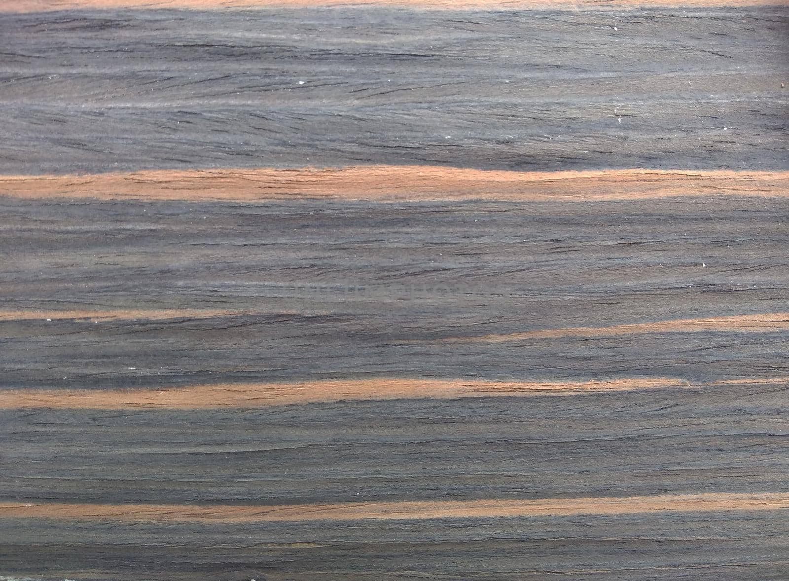 Natural gray fire ebony wood texture background. veneer surface for interior and exterior manufacturers use.