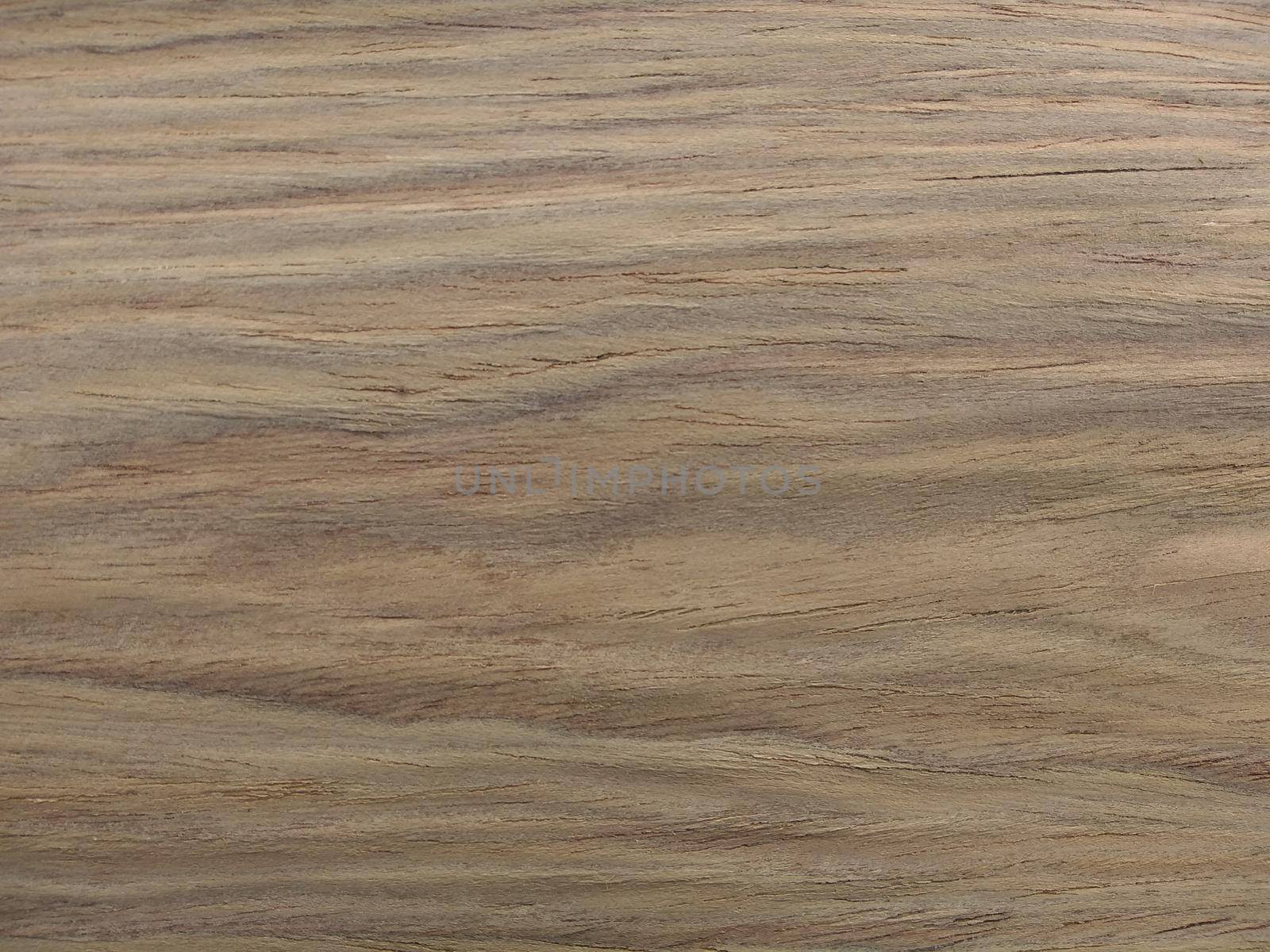 Natural gray american walnut flat cut wood texture background. veneer surface for interior and exterior manufacturers use.