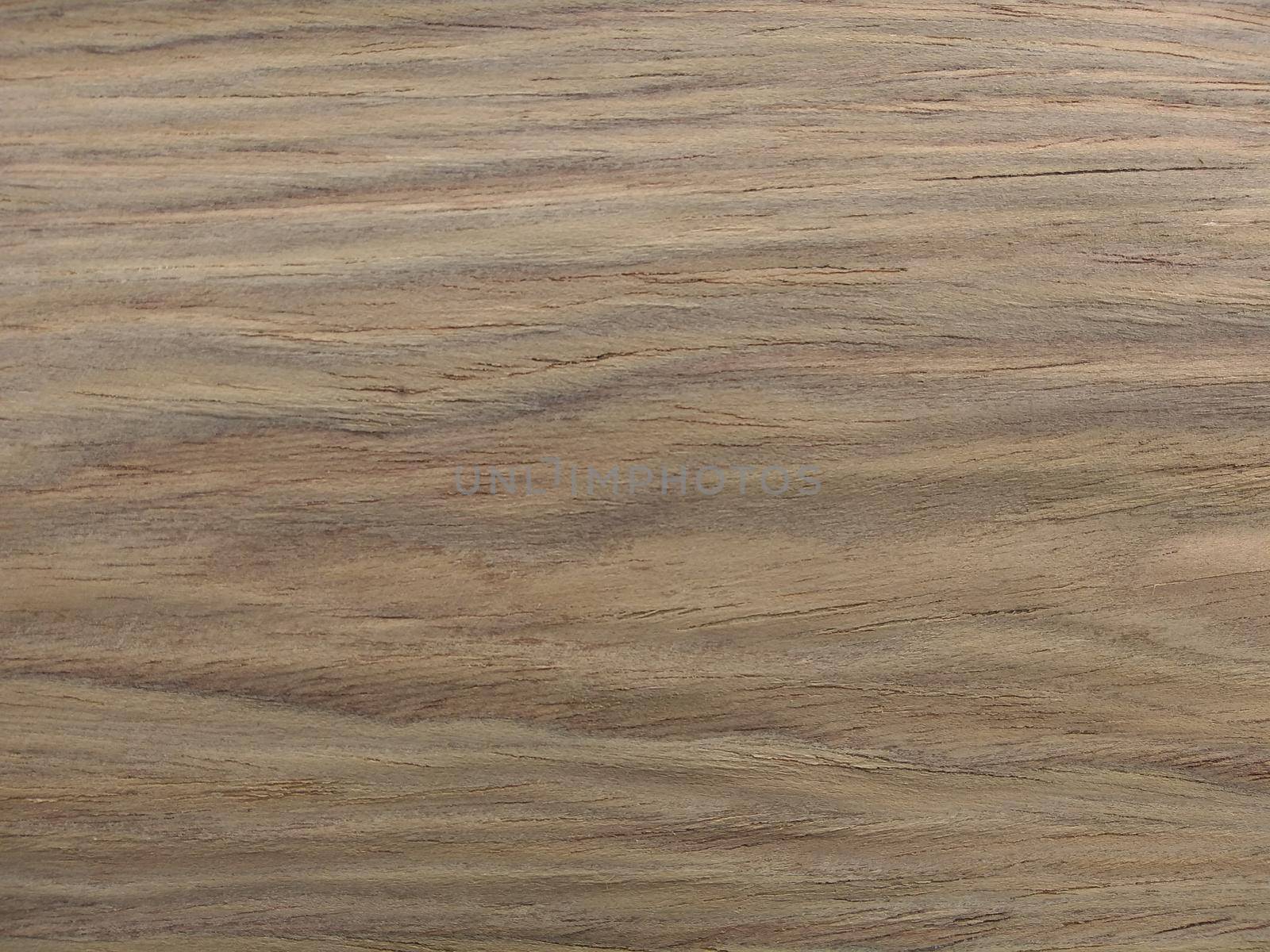 Natural gray american walnut flat cut wood texture background. veneer surface for interior and exterior manufacturers use.