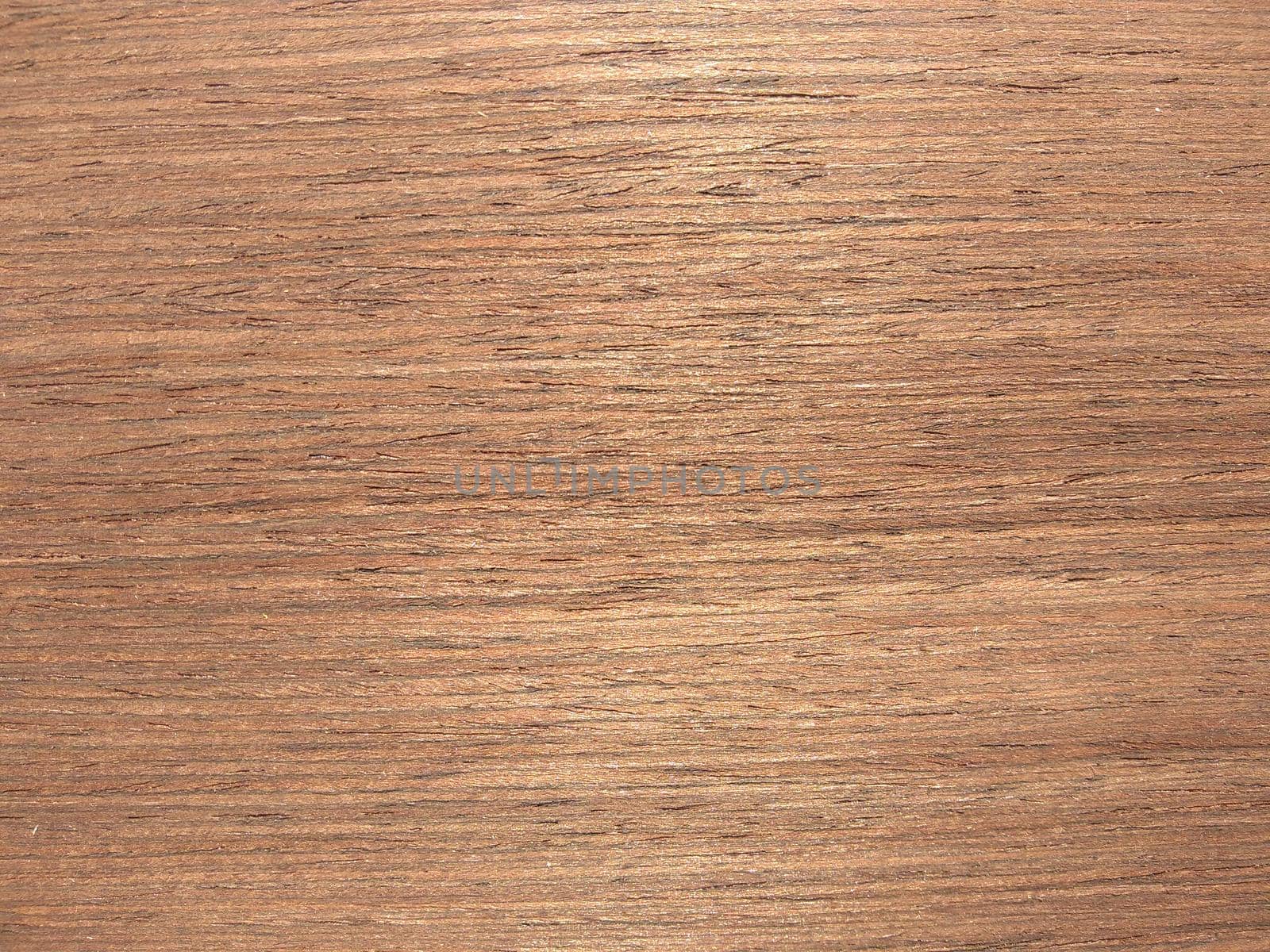 Natural light wenge wood veneer close up image. natural textured slices of wood.