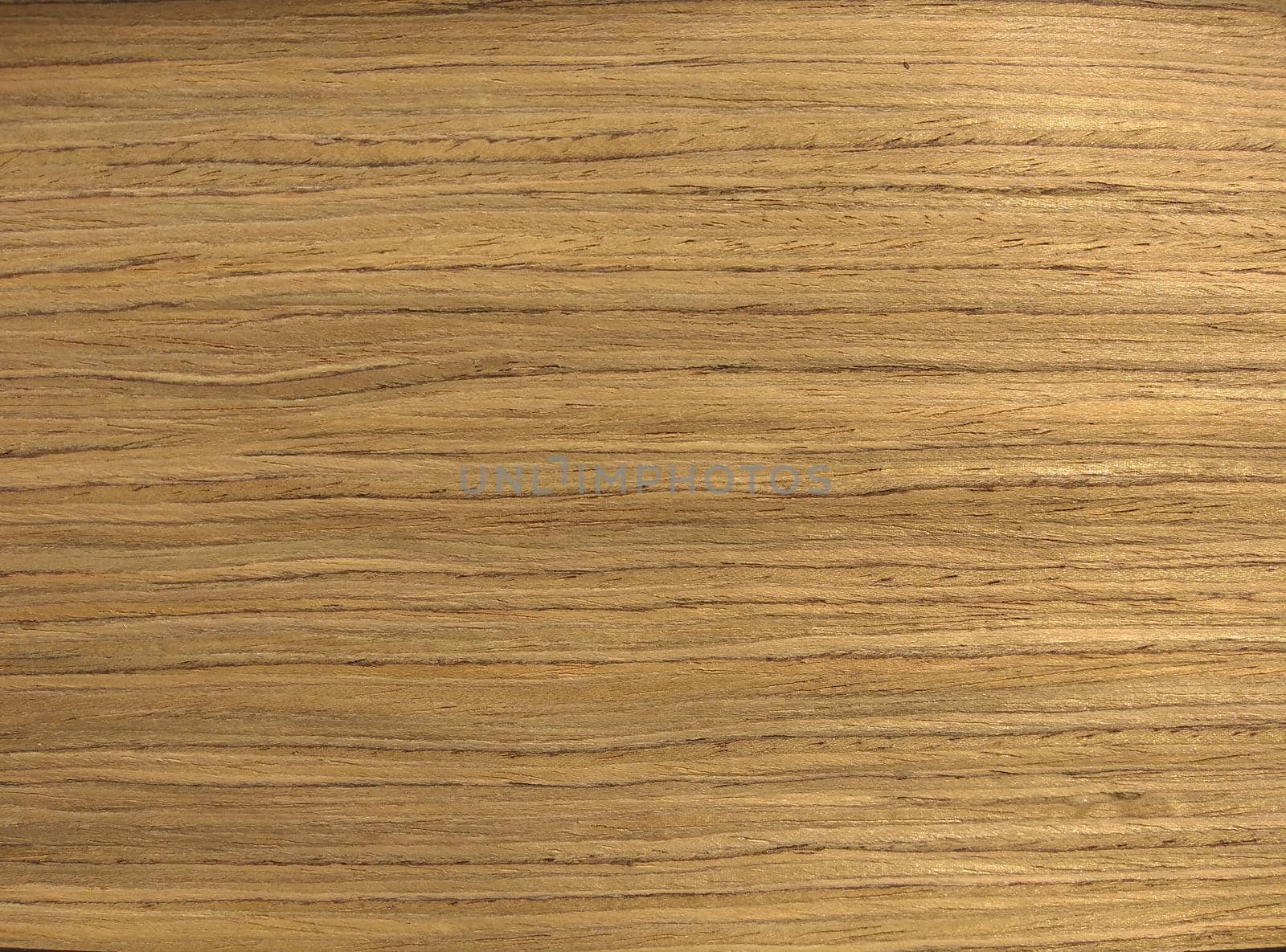 Natural yellow american walnut wood texture background. veneer surface for interior and exterior manufacturers use.