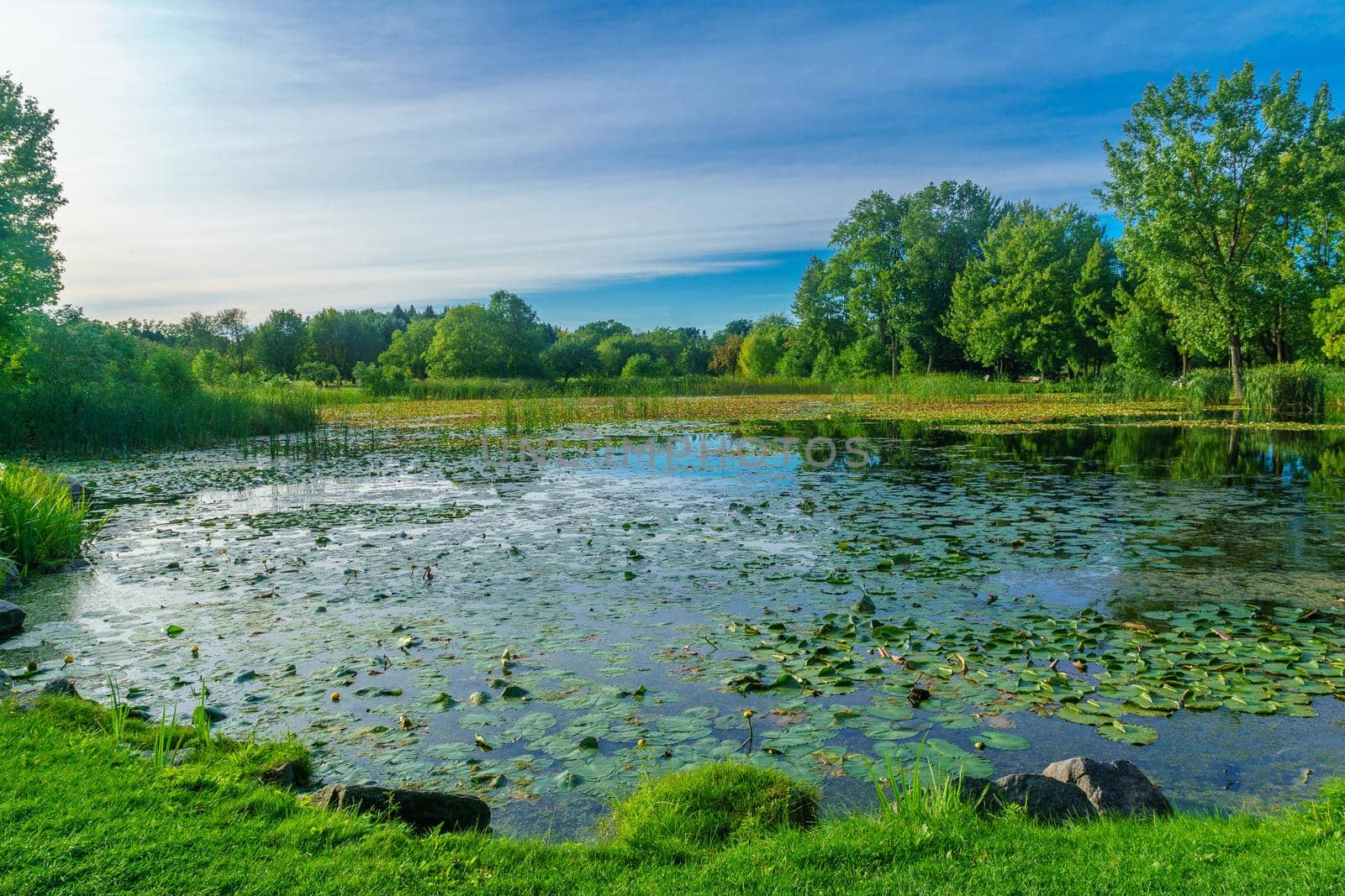 View of the Botanical Gardens, in Montreal, Quebec, Canada