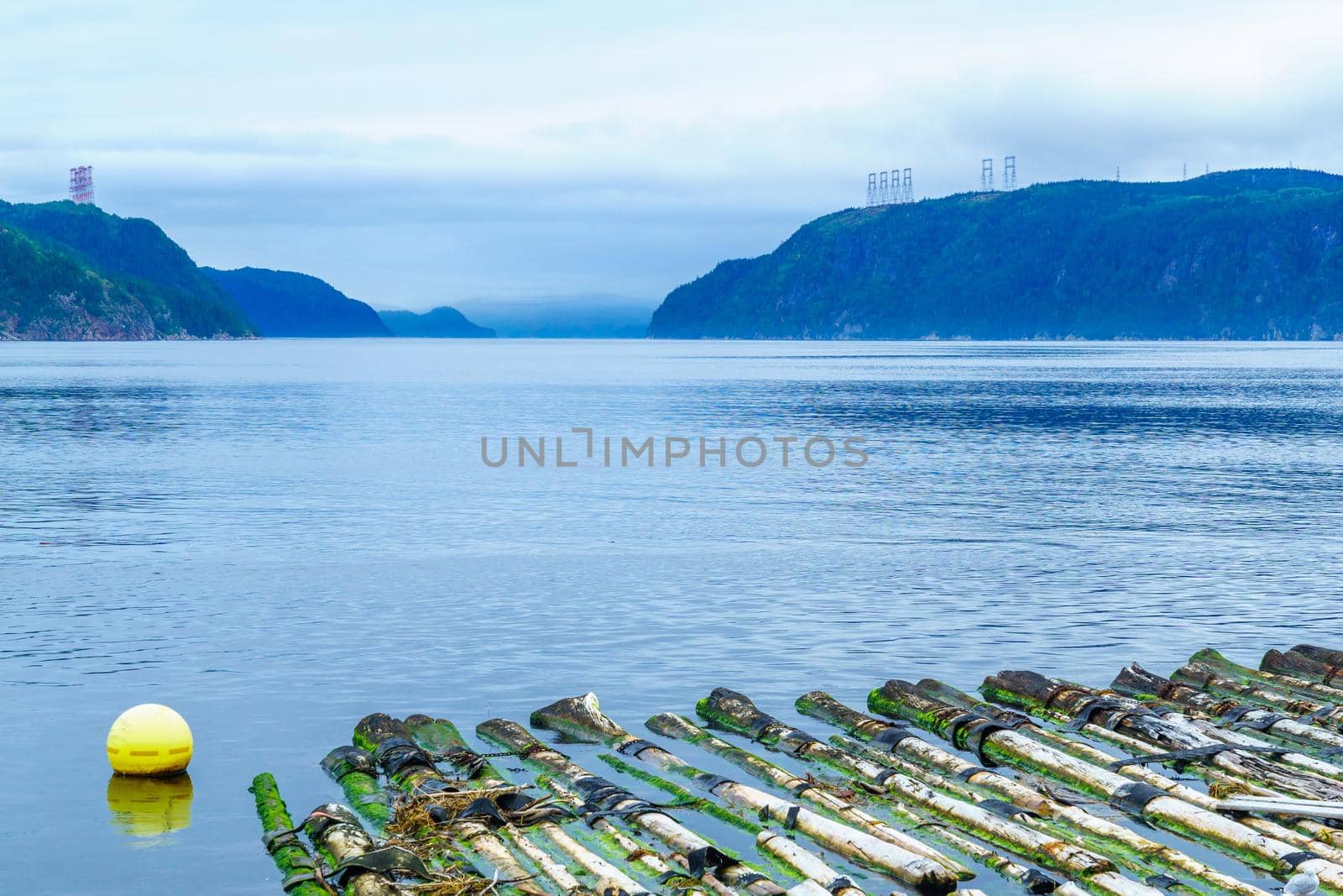 View of logs and the Saguenay fjord in L-Anse-de-Roche, Quebec, Canada