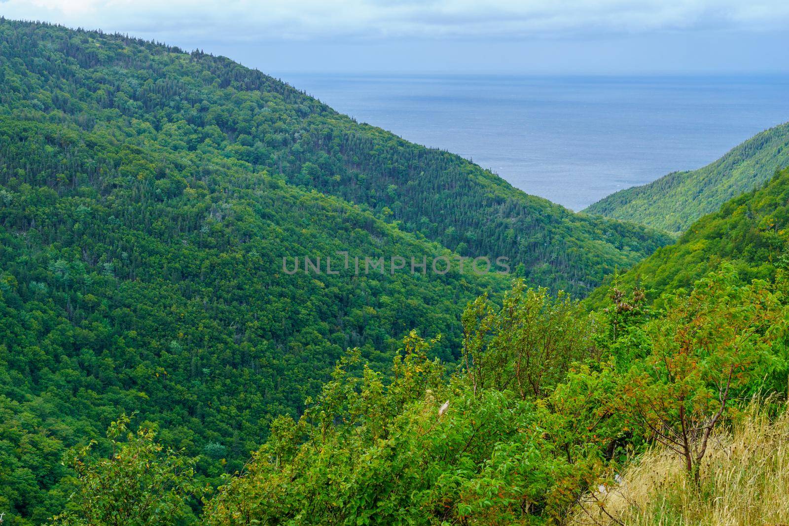 Landscape of the Fishing Cove, along the Cabot Trail by RnDmS