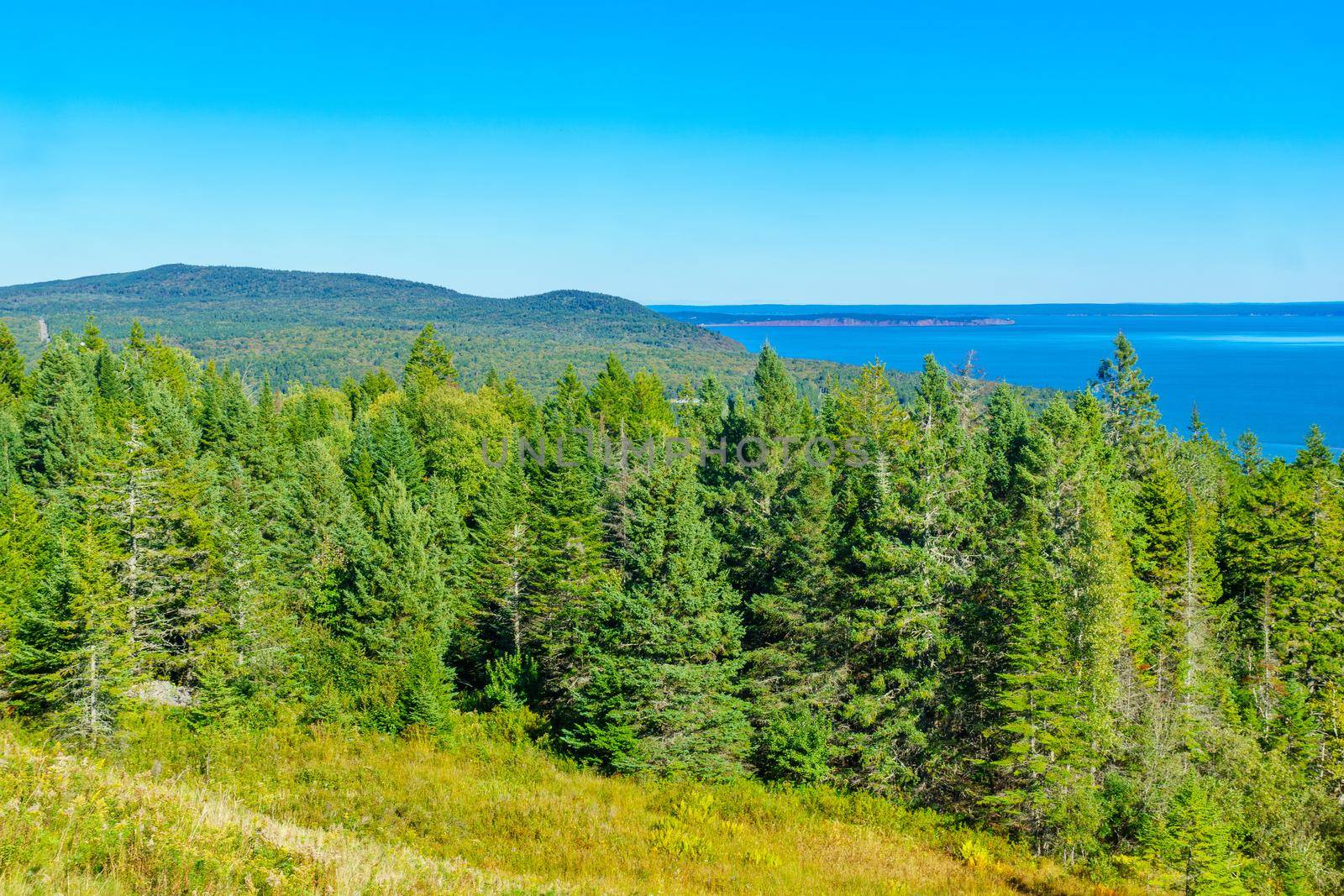 View of trees and landscape in Fundy National Park, New Brunswick, Canada
