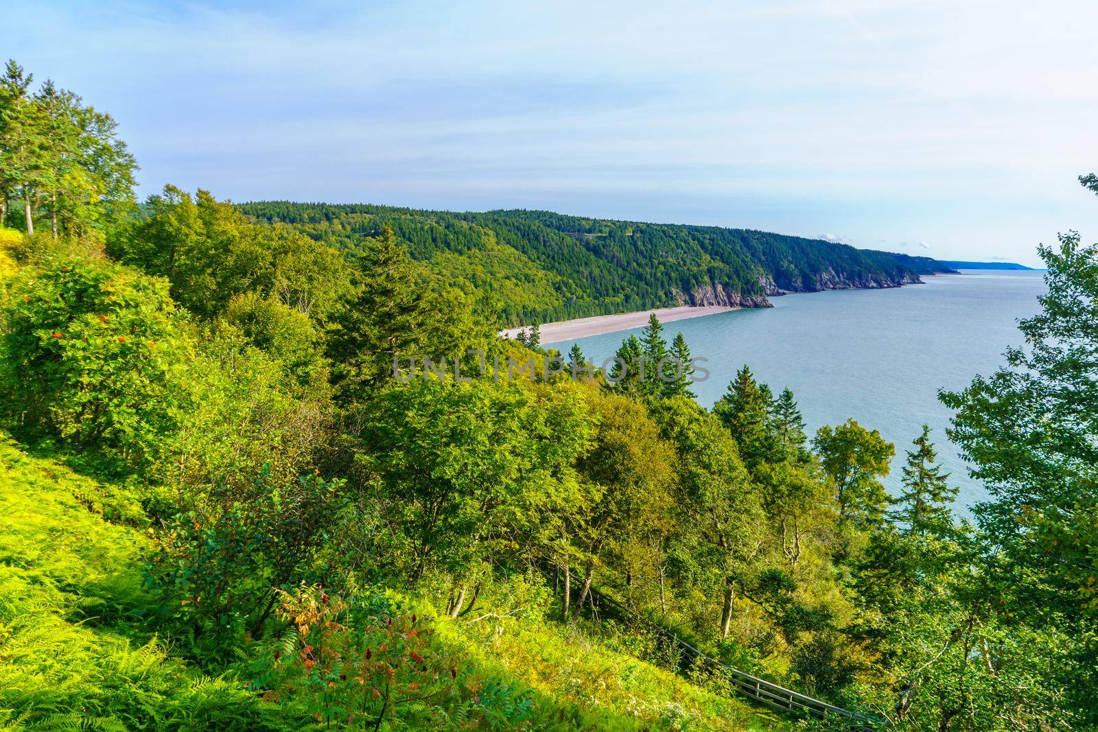 View of coastal landscape in Fundy Trail Parkway park, New Brunswick, Canada