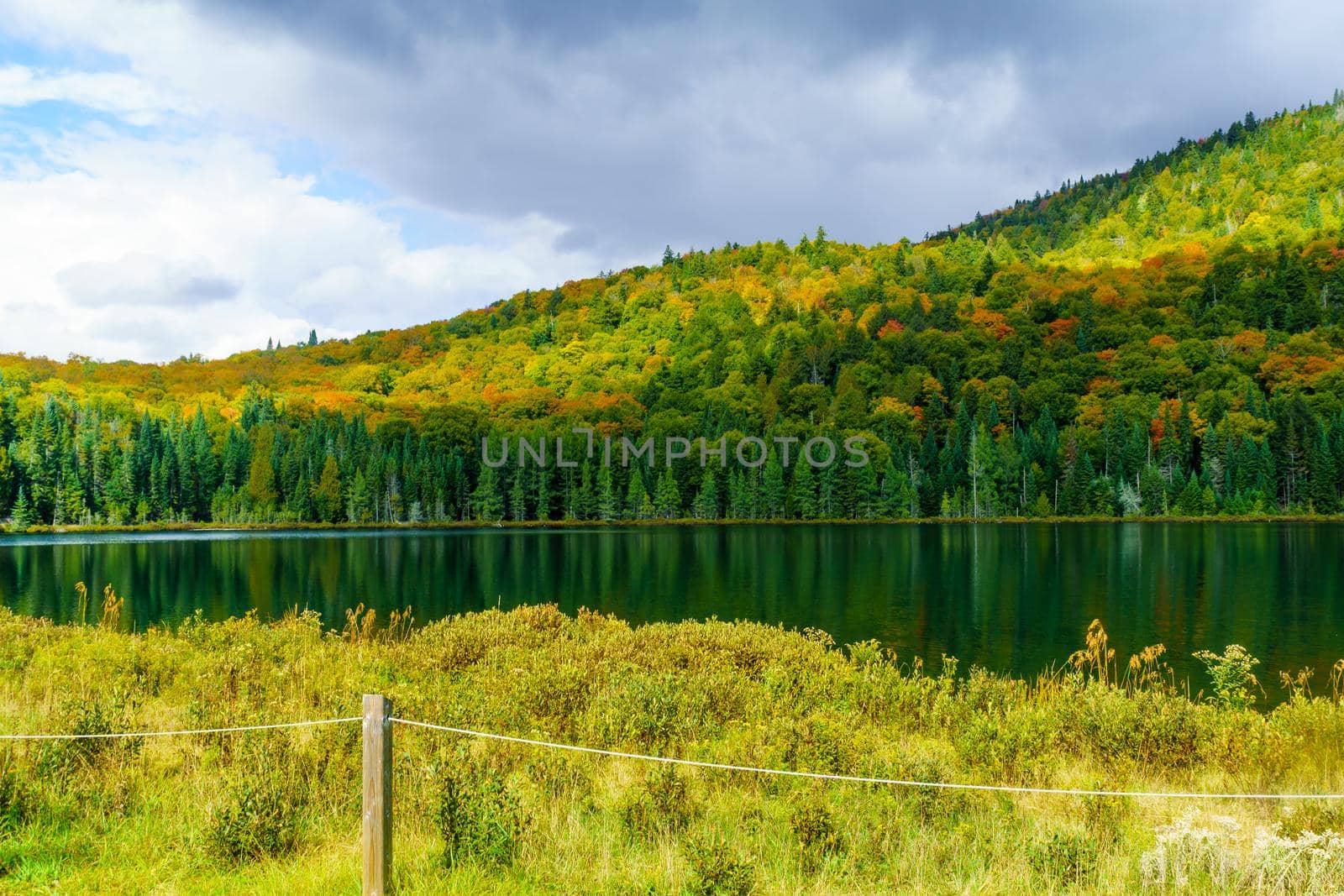 View of Lauzon lake and fall foliage colors, in Mont Tremblant National Park, Quebec, Canada