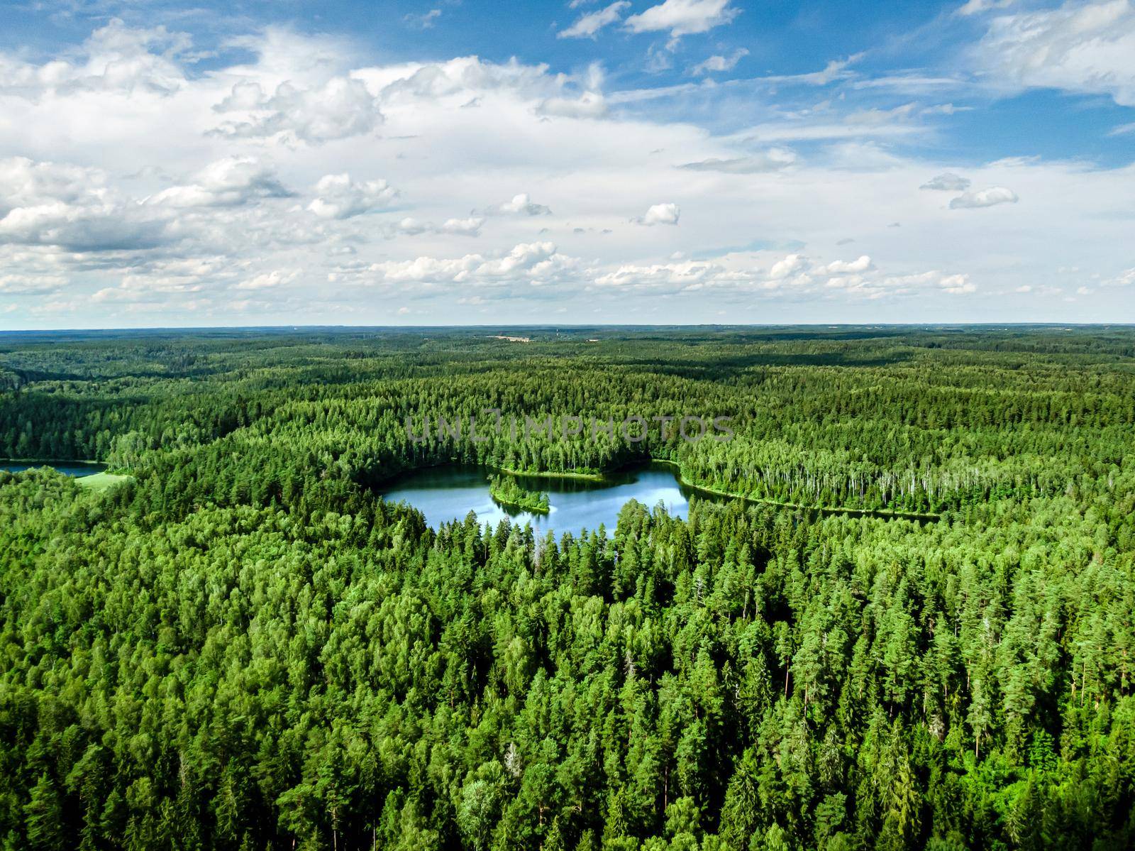 Top view of a forest lake