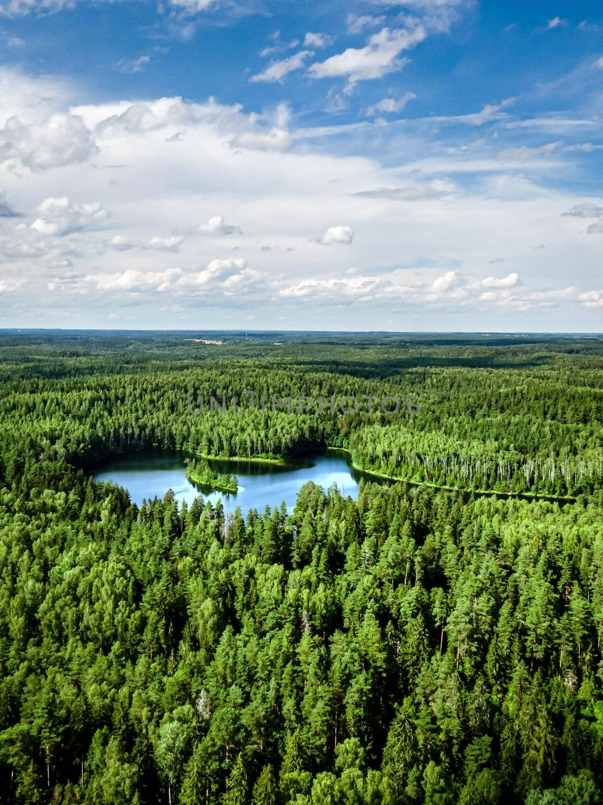 Top view of a forest lake. by 9parusnikov