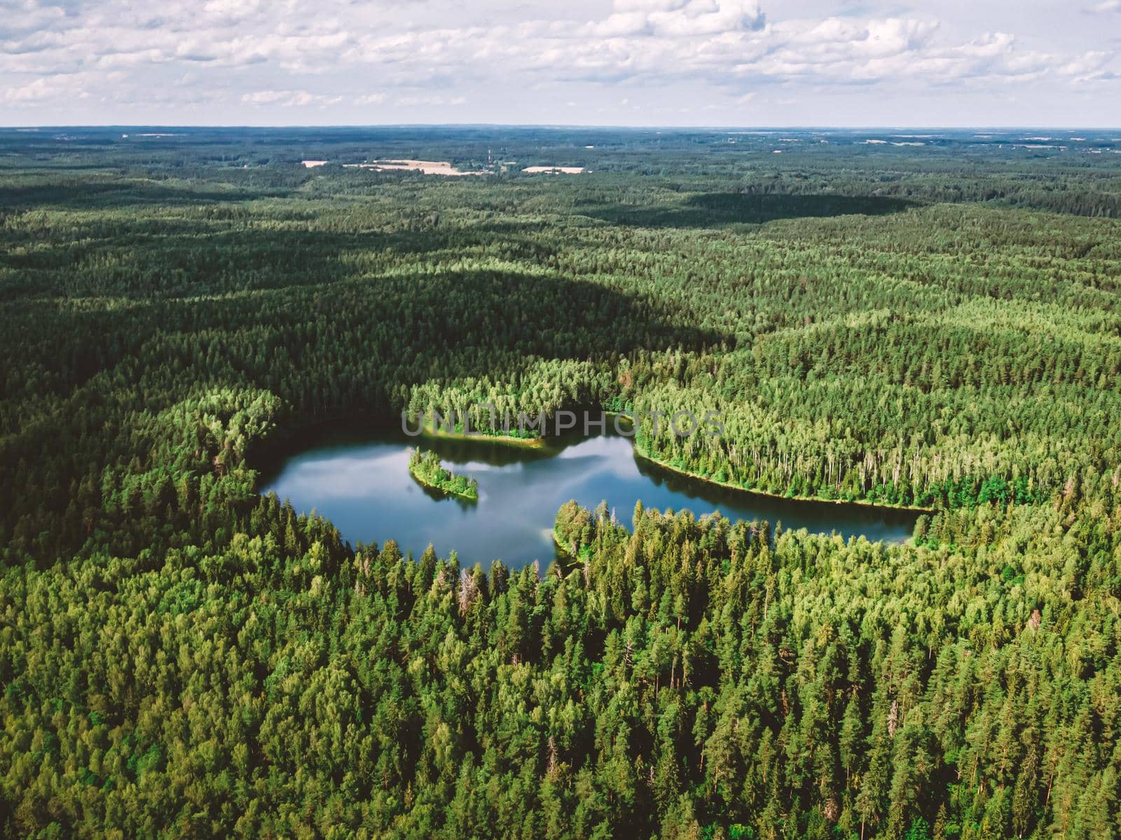 Top view of a forest lake