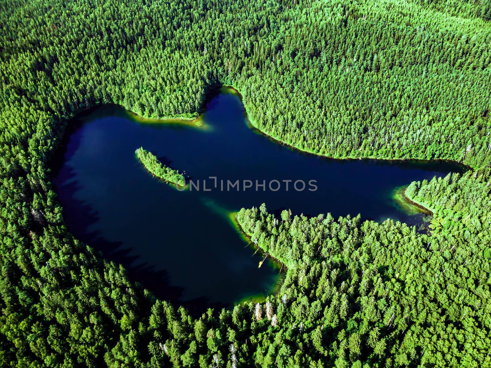 Top view of a forest lake