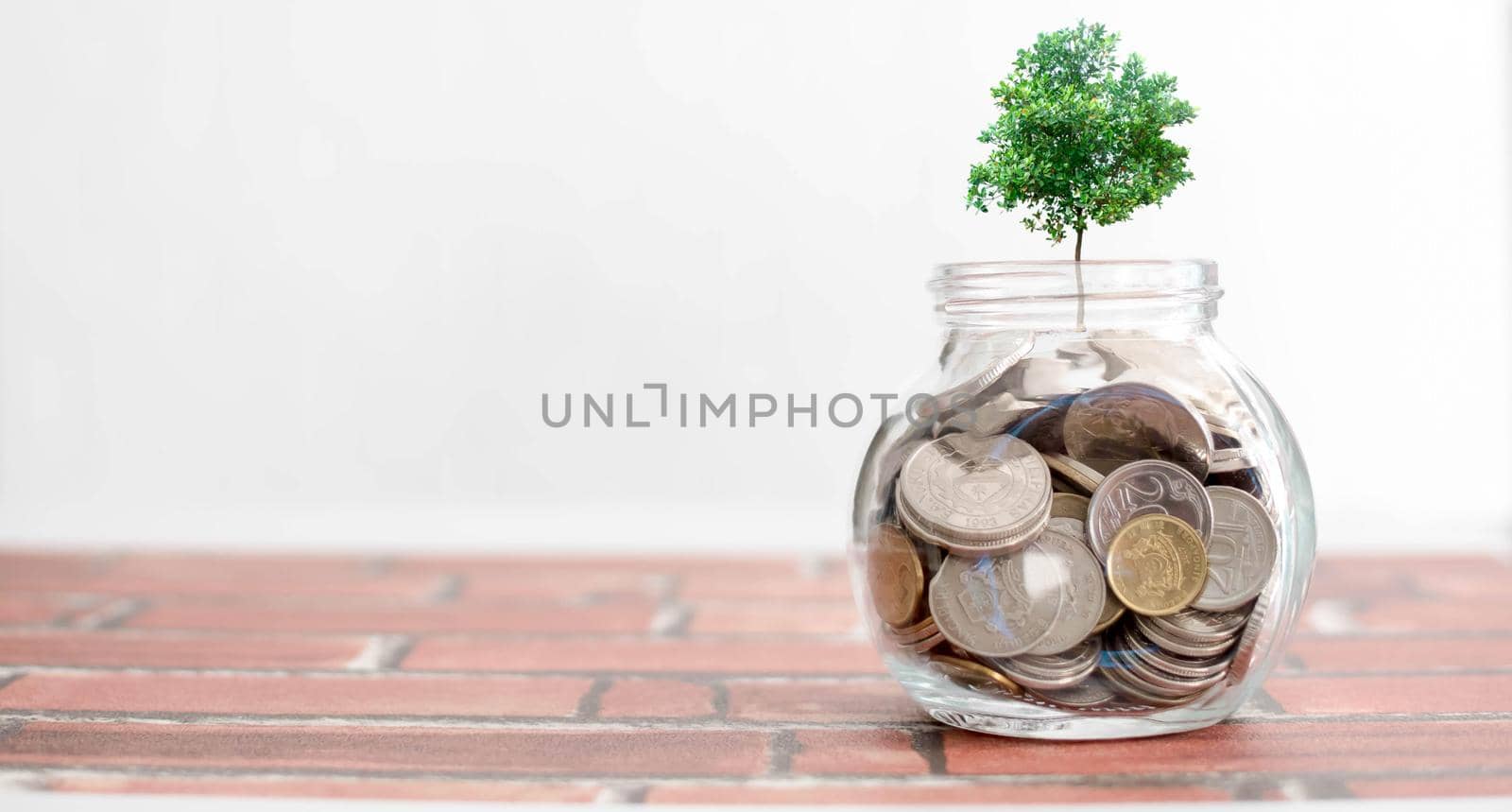 financial saving concept - plant growing out of coins. Concept. Plant Growing In Savings Coins - Investment And Interests