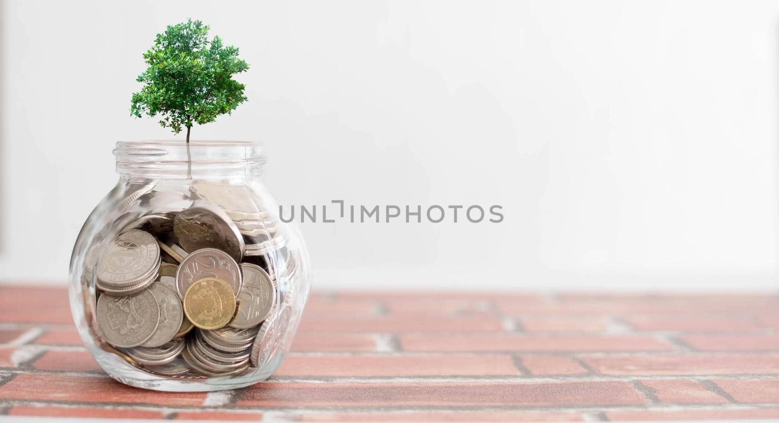 financial saving concept - plant growing out of coins. Concept. Plant Growing In Savings Coins - Investment And Interests