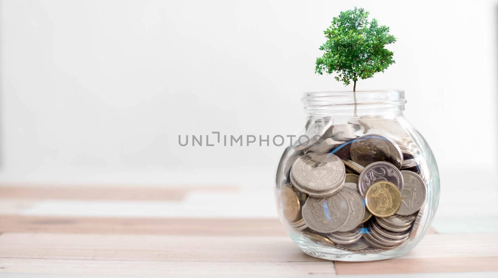 financial saving concept - plant growing out of coins. Concept. Plant Growing In Savings Coins - Investment And Interests