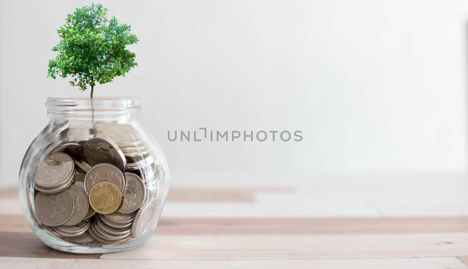 financial saving concept - plant growing out of coins. Concept. Plant Growing In Savings Coins - Investment And Interests