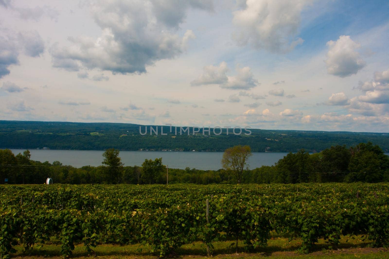 Scenes from the Finger Lakes of New York
