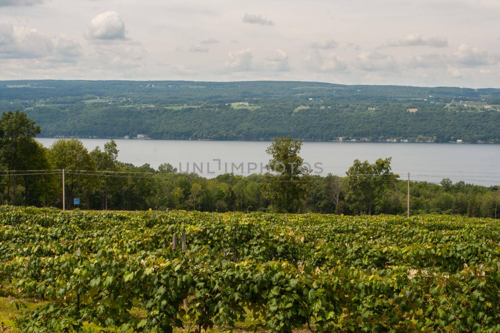 Scenes from the Finger Lakes of New York