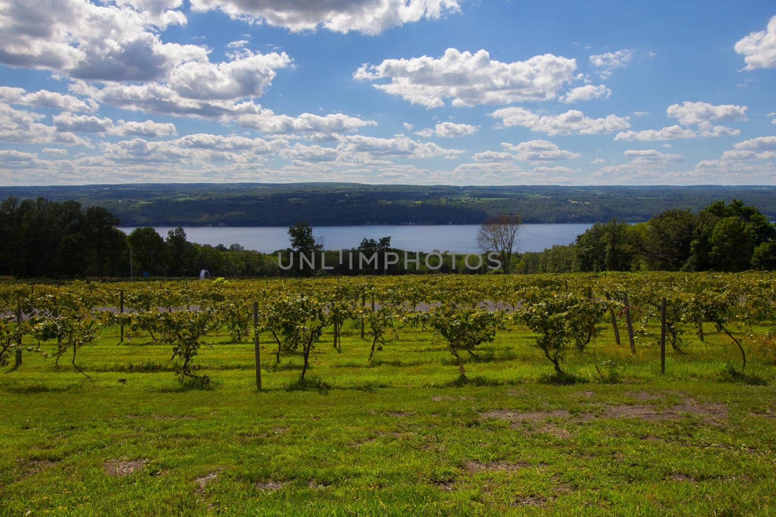 Finger Lakes Region, New York
