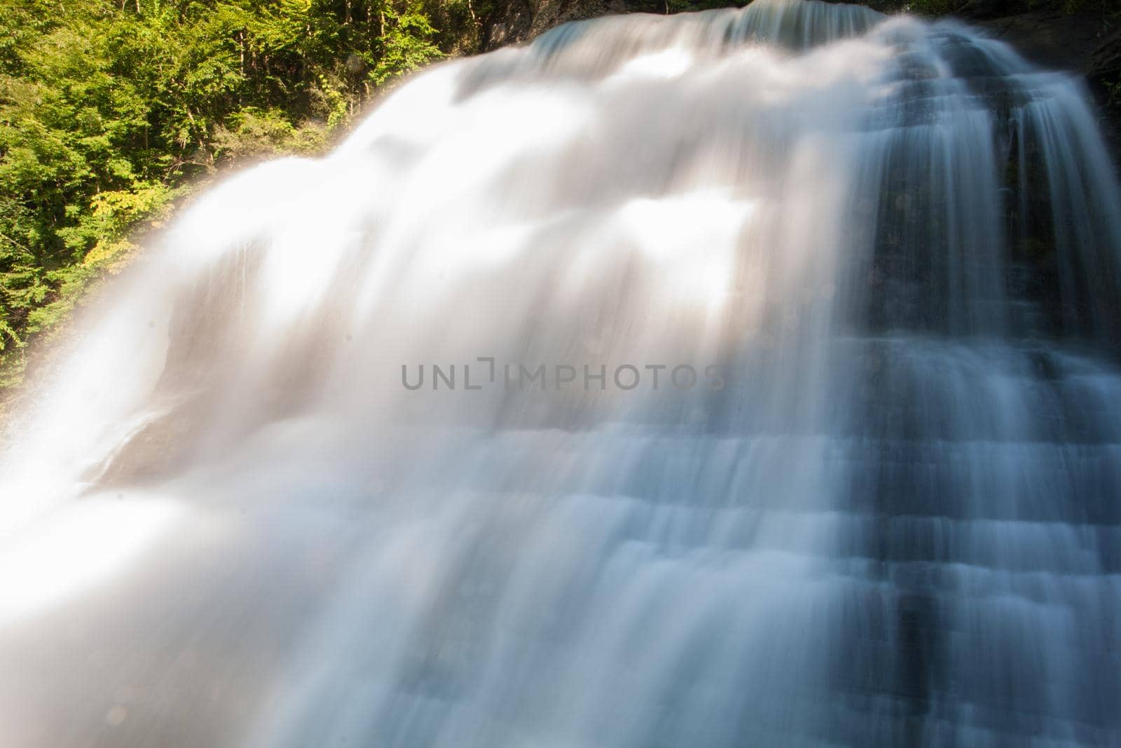 Scenes from Robert E Treman state park in New York's Finger Lakes region