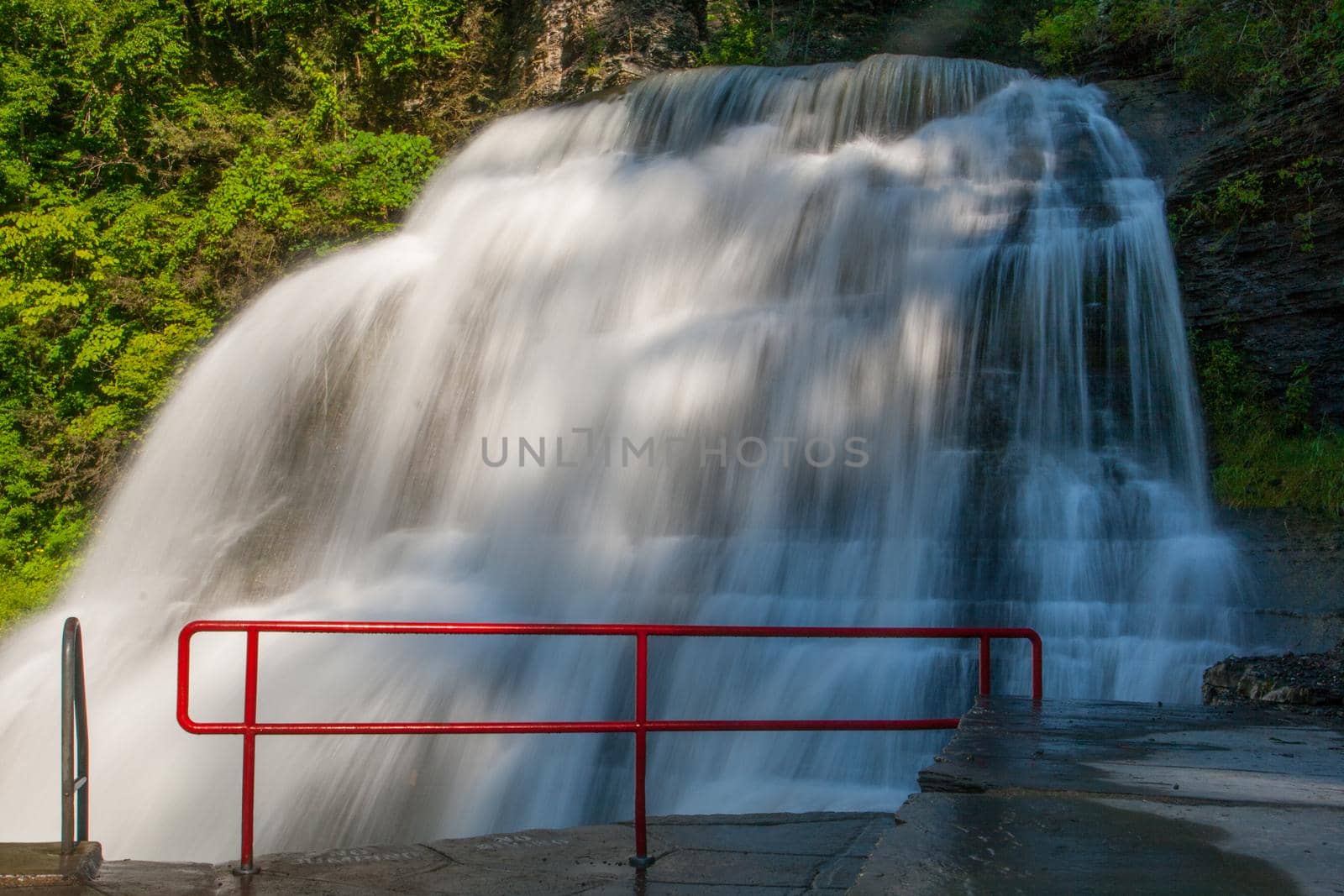 Scenes from Robert E Treman state park in New York's Finger Lakes region