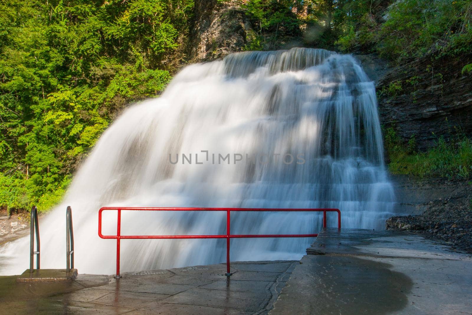 Scenes from Robert E Treman state park in New York's Finger Lakes region