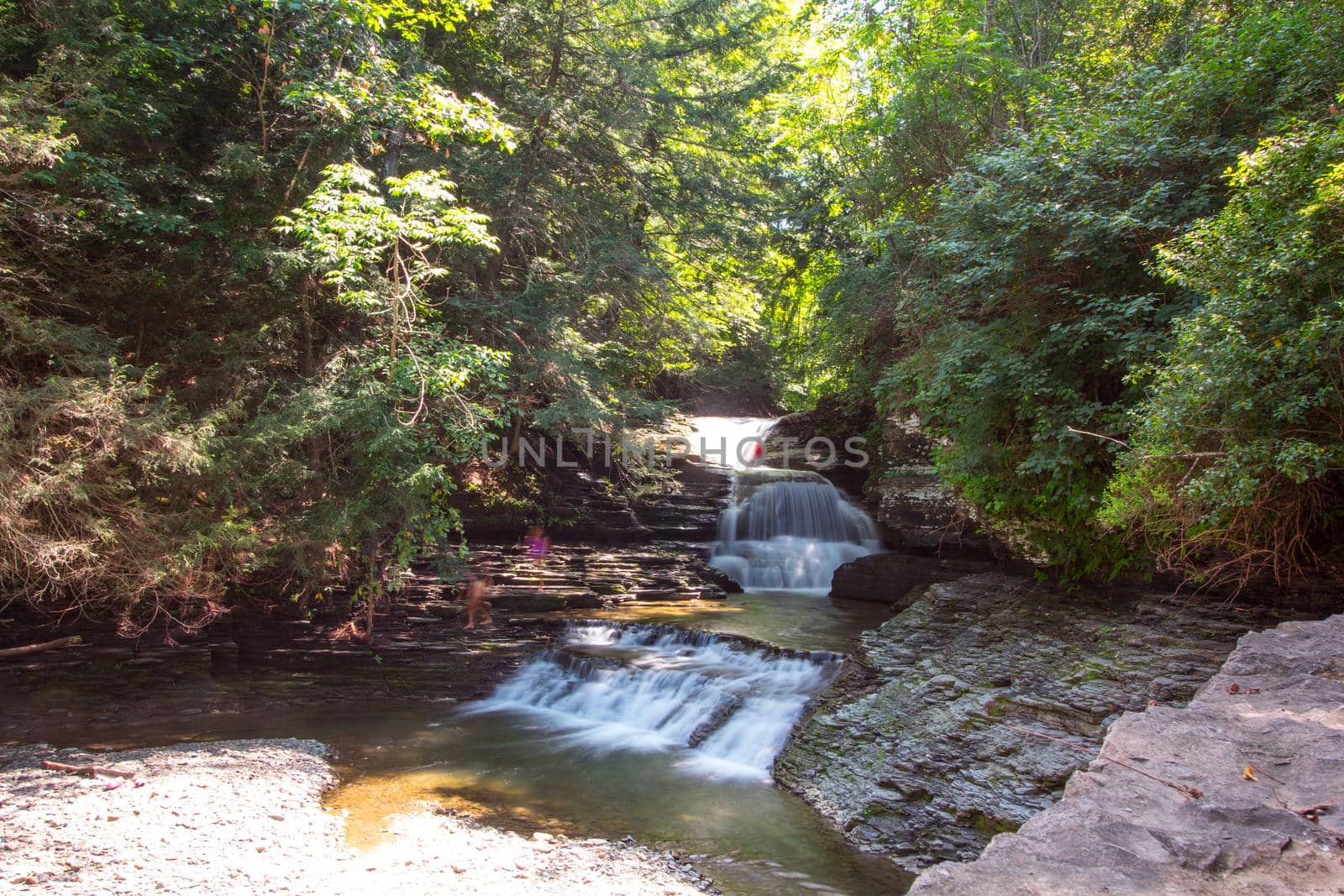 Robert E Treman State Park, New York