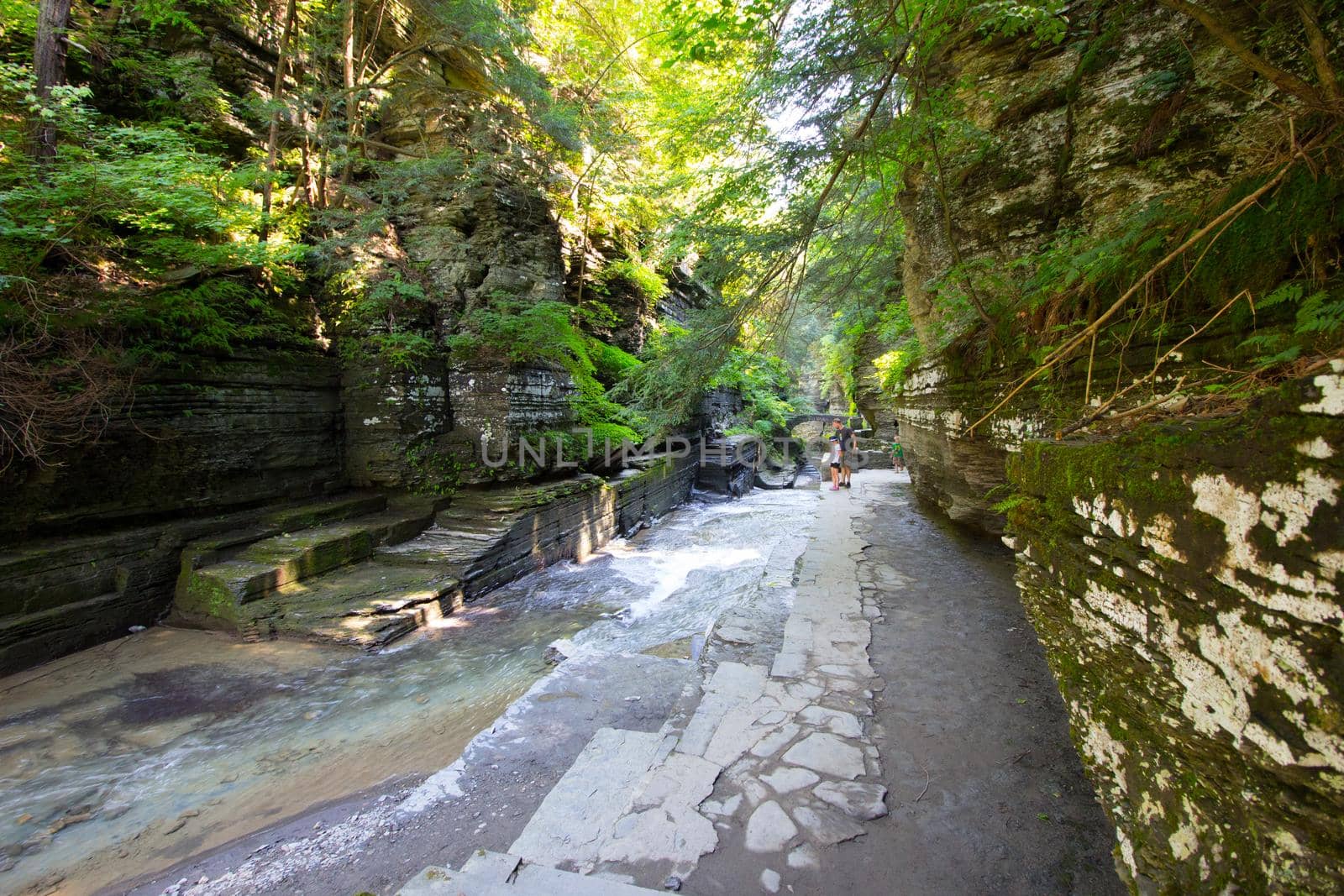 Robert E Treman State Park, New York