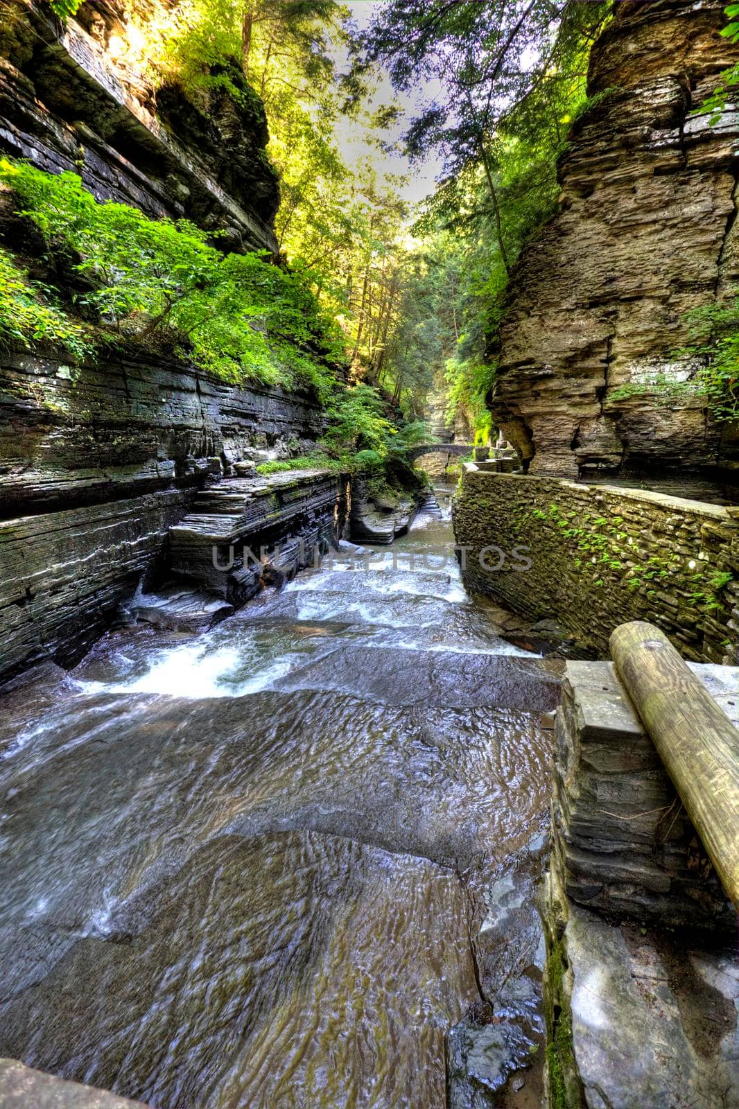 Robert E Treman State Park, New York