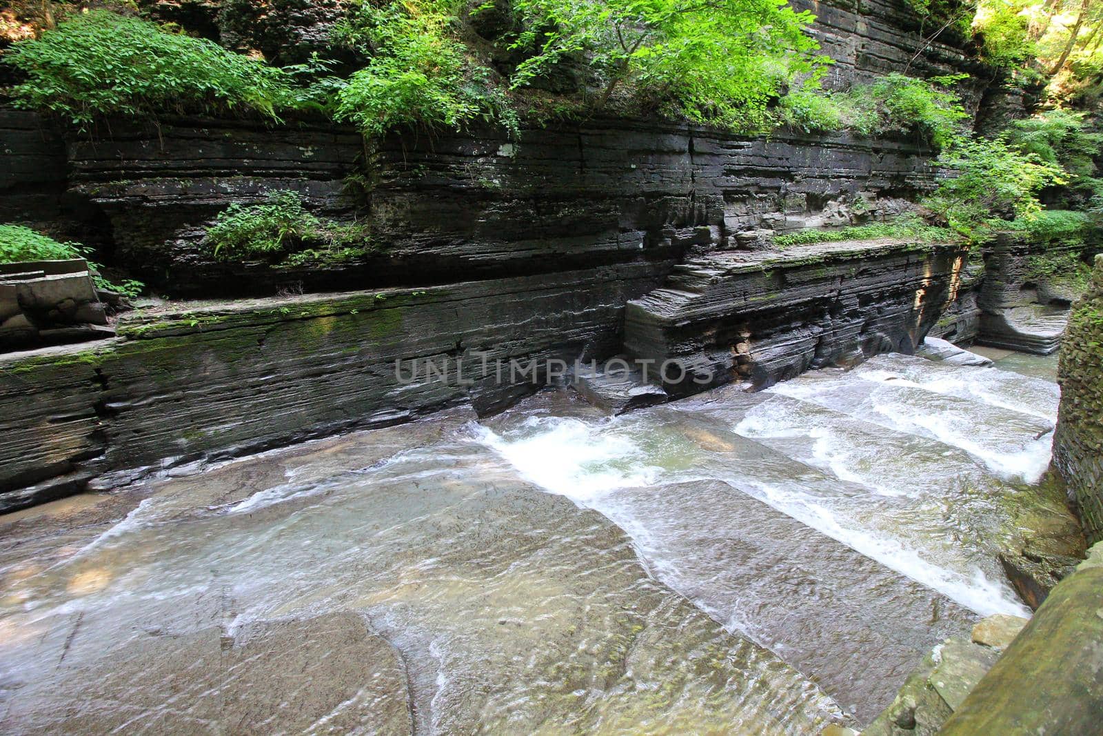 Robert E Treman State Park, New York