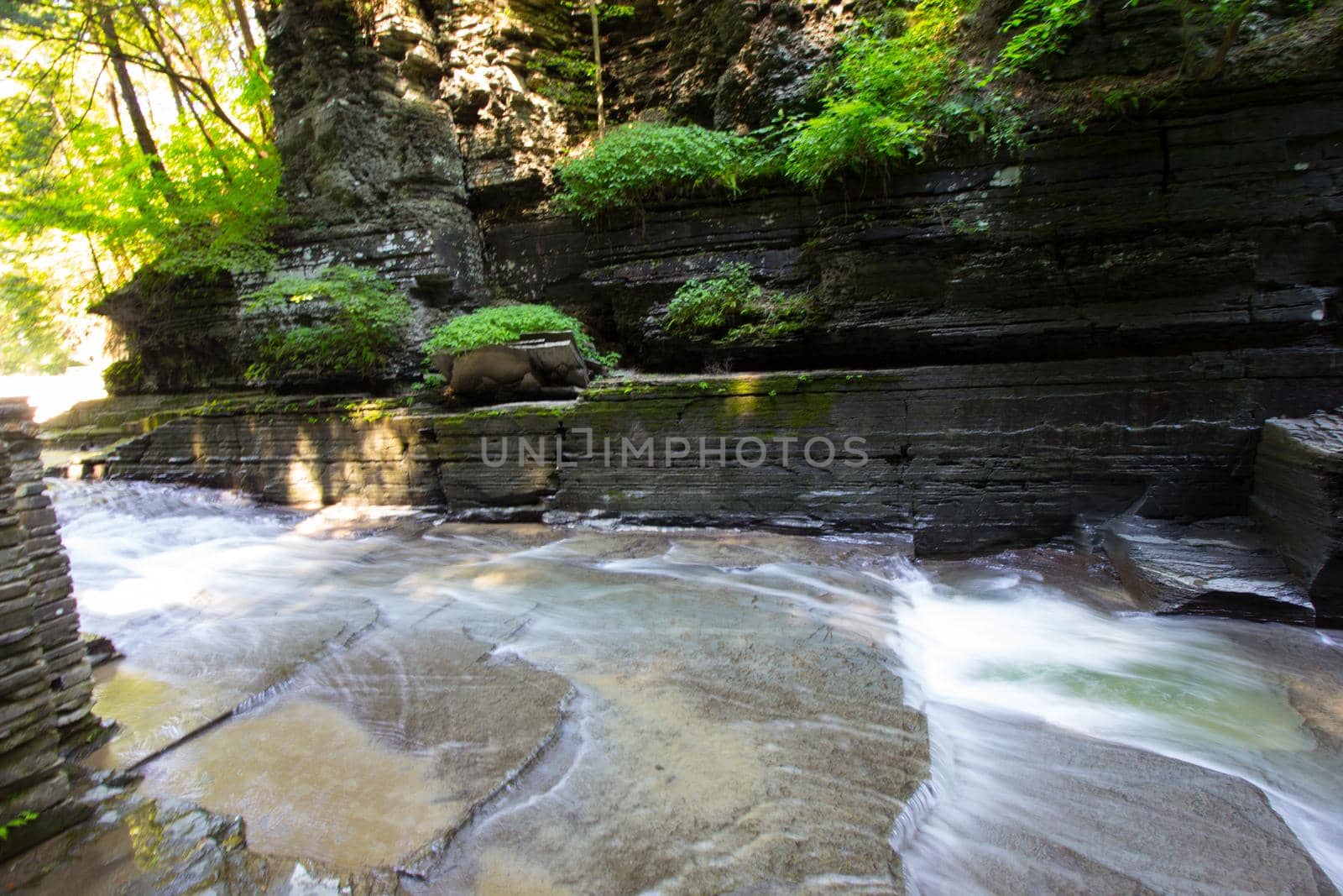 Robert E Treman State Park, New York