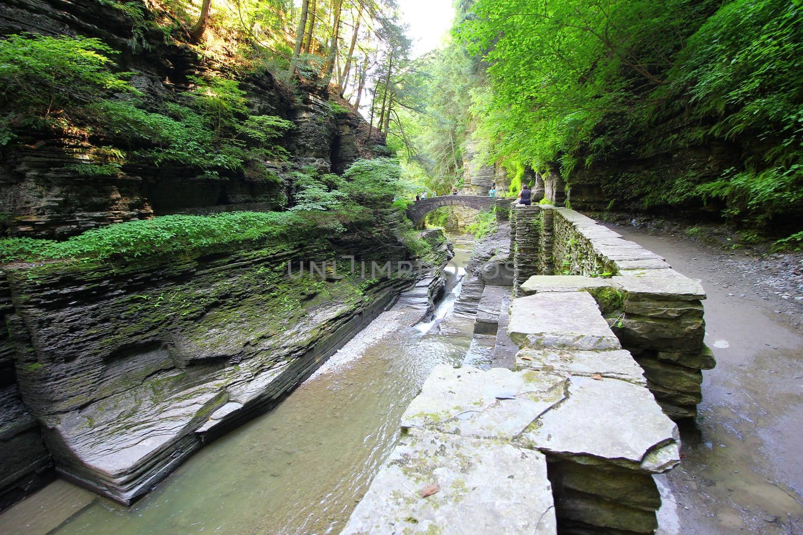 Robert E Treman State Park, New York