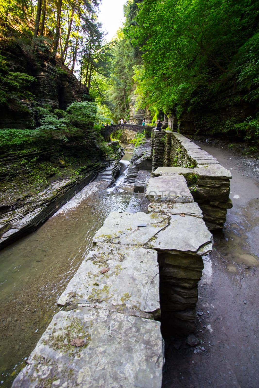 Robert E Treman State Park, New York