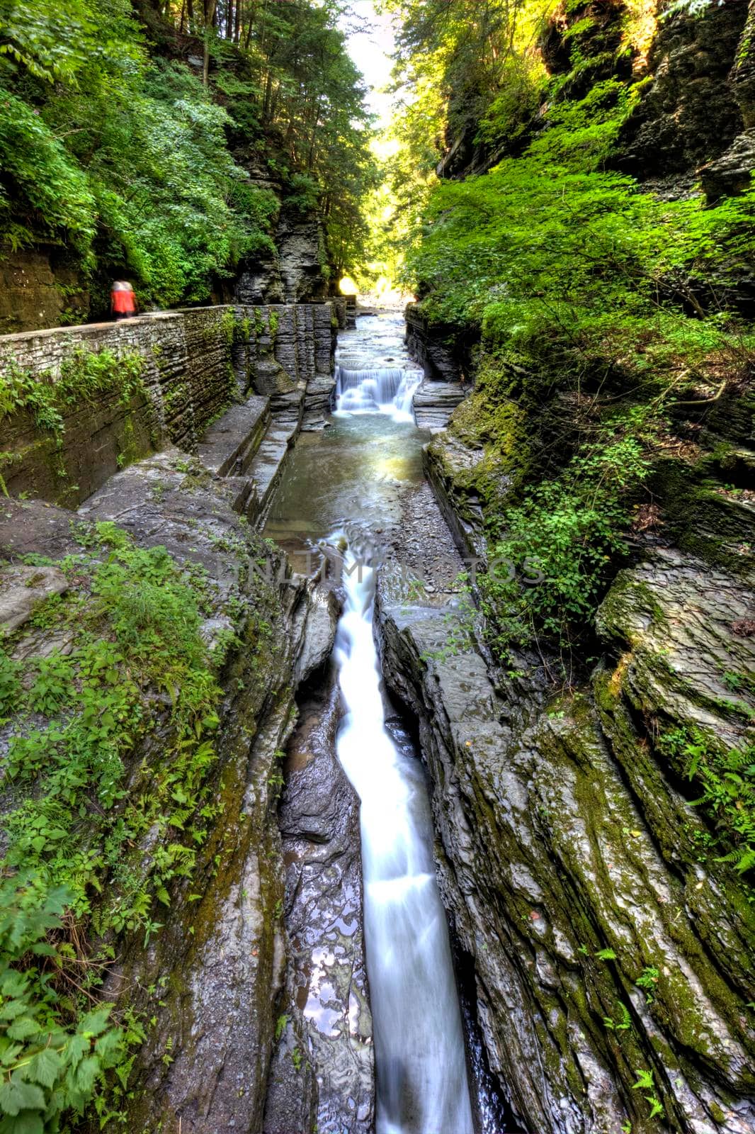 Robert E Treman State Park, New York
