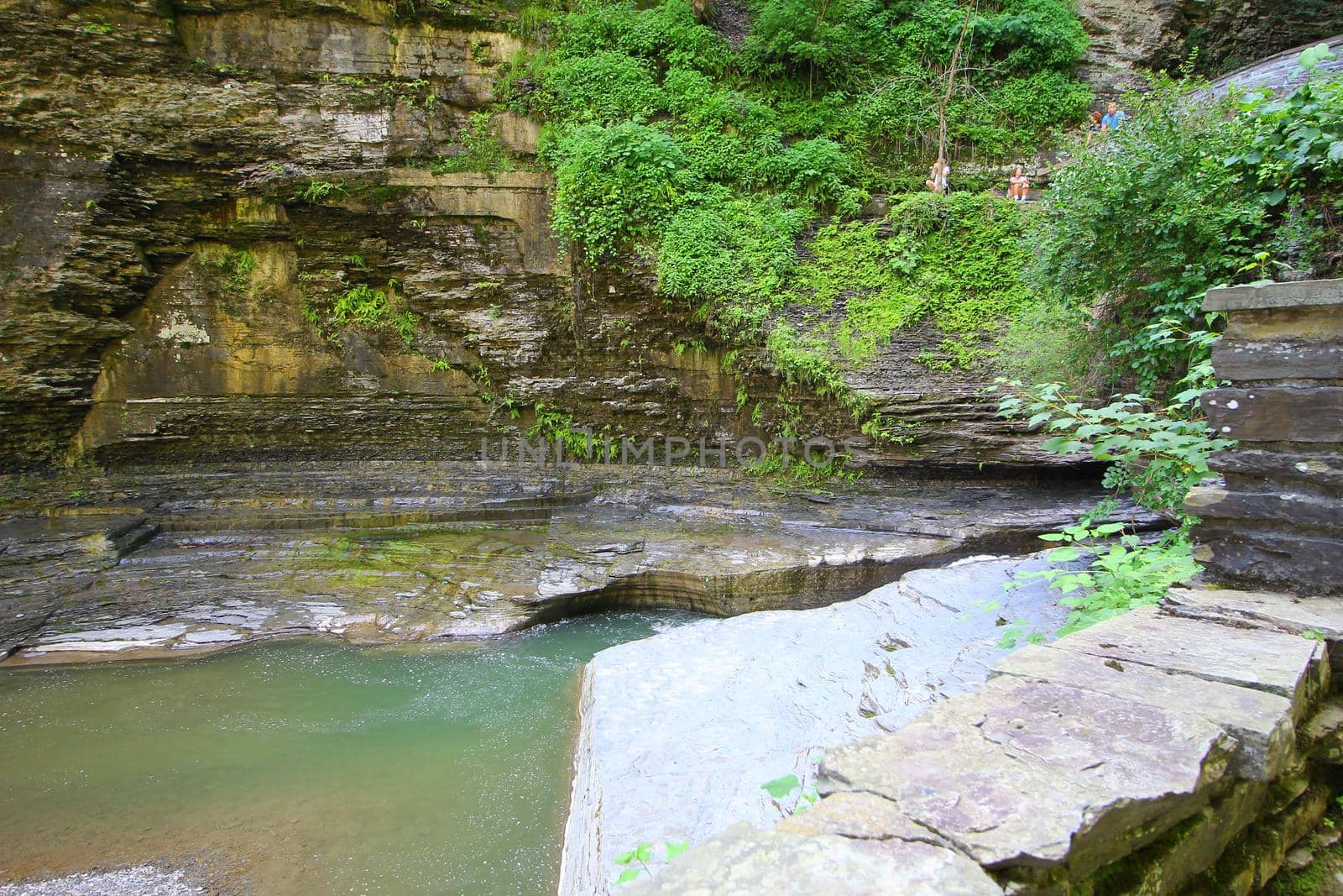 Robert E Treman State Park, New York