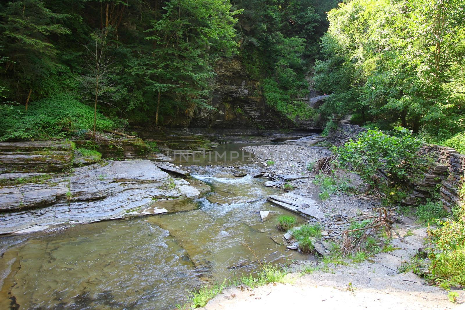 Robert E Treman State Park, New York