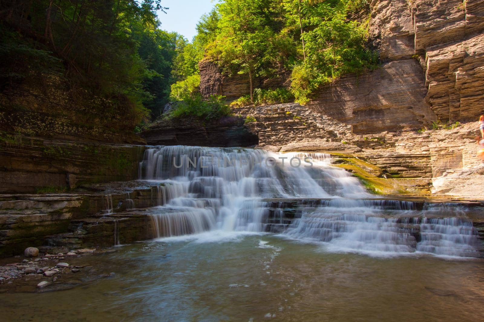 Robert E Treman State Park, New York