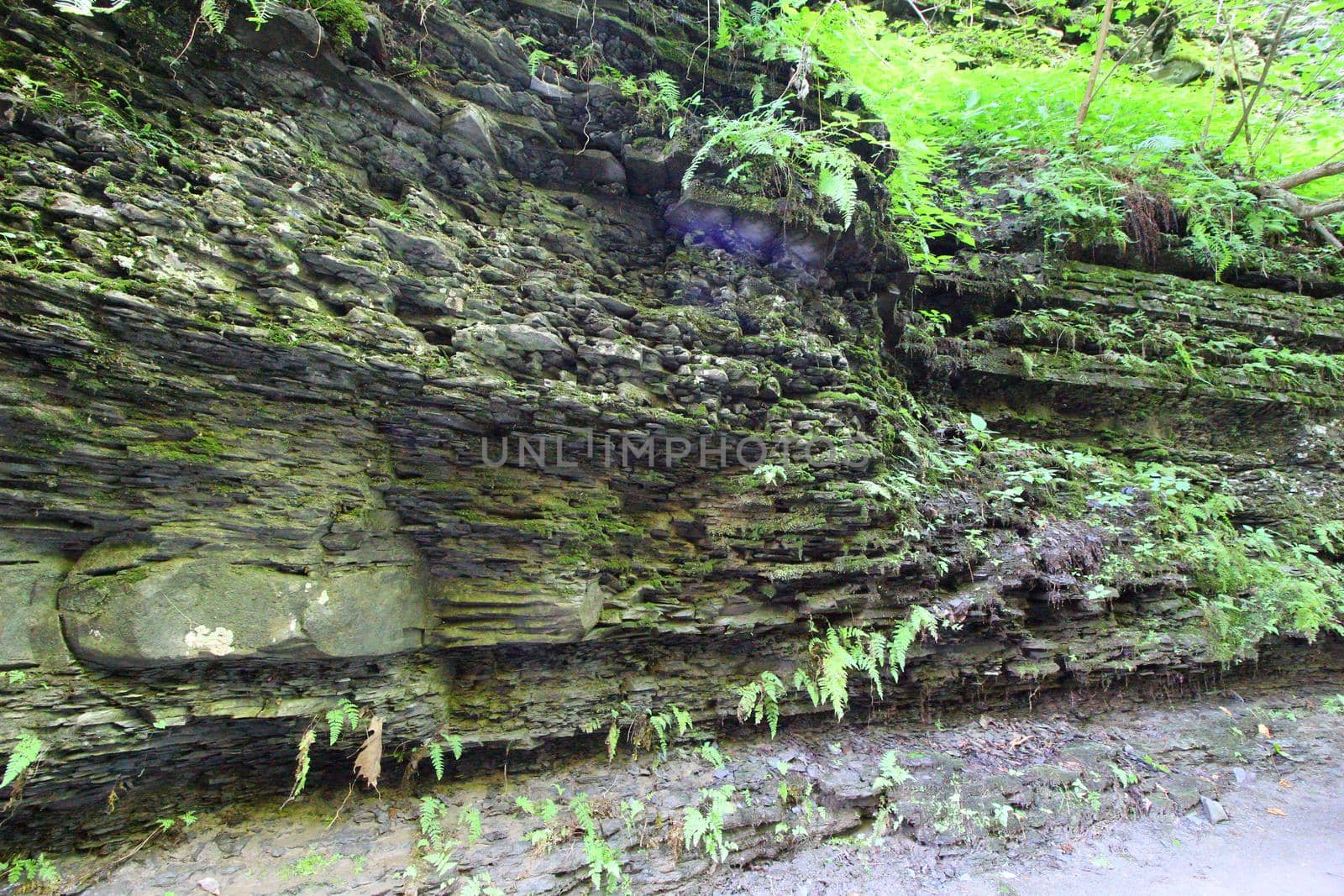 Robert E Treman State Park, New York