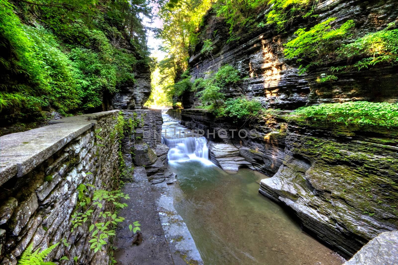 Robert E Treman State Park, New York